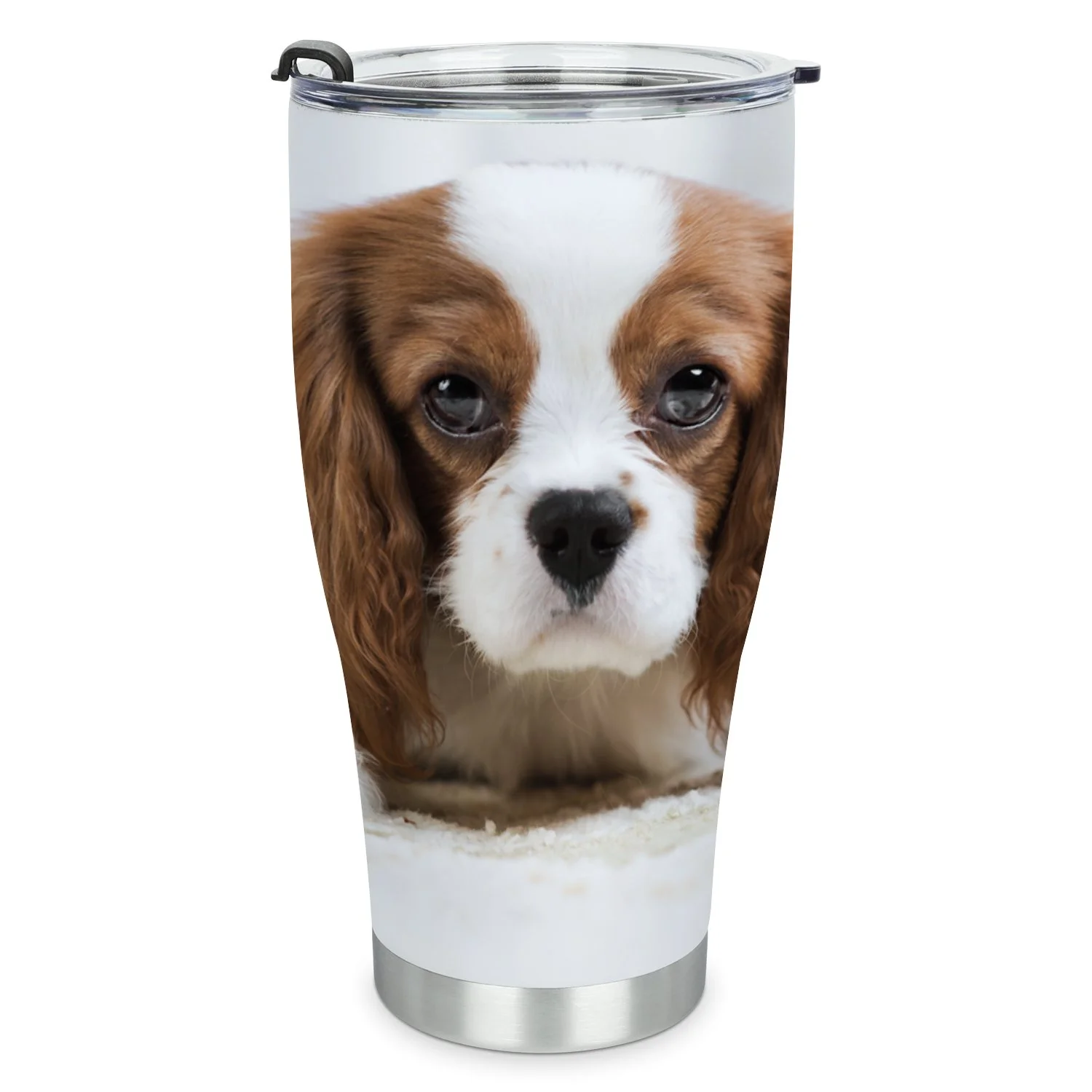 Hidove Stainless Steel Tumbler, Pure Bred dog 30oz Leak Proof & Stainless Steel Bottle for Hot & Cold Drinks - Coffee Travel Mug, Water Metal Canteen, Thermal Cup