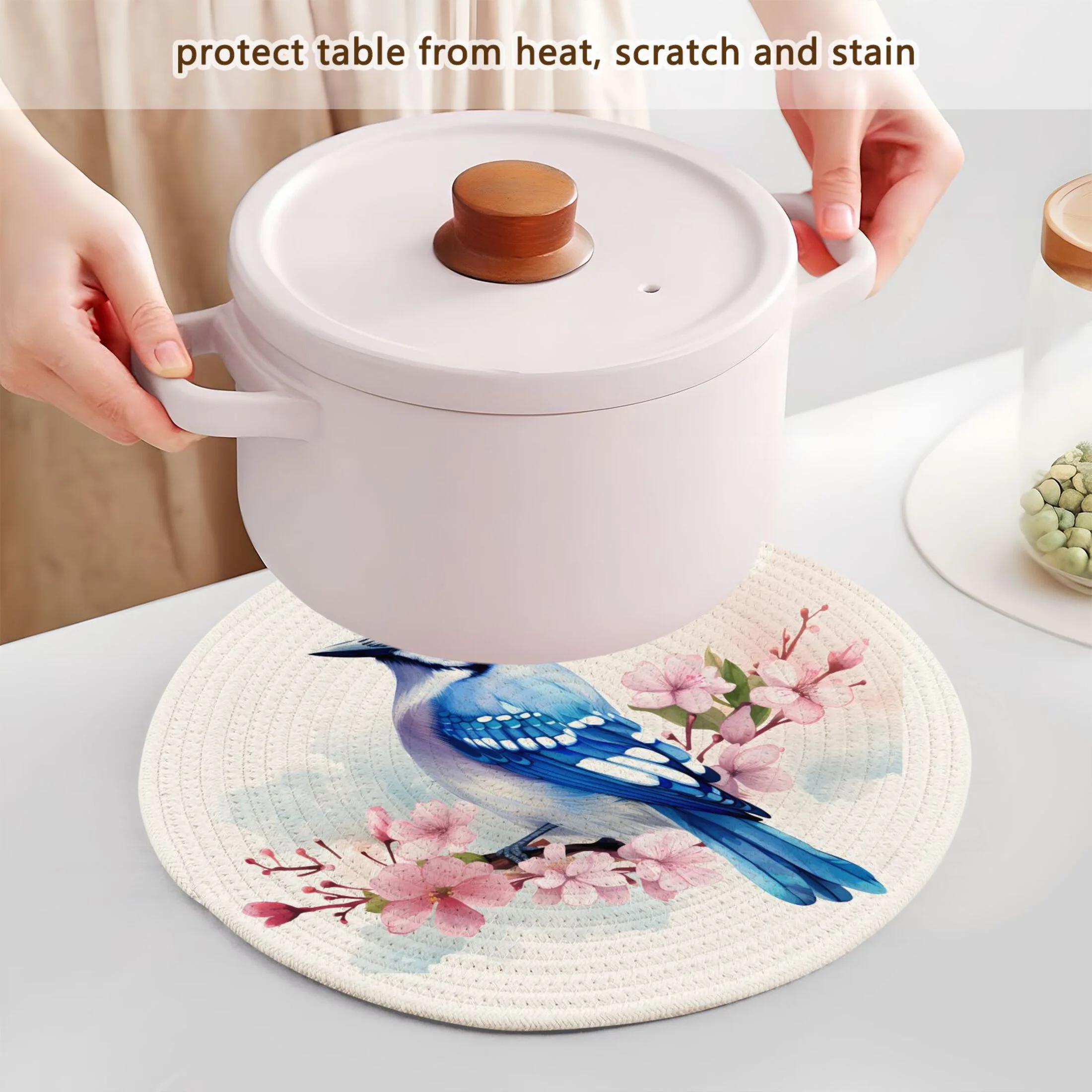 Birds and Cherry Flowers 3 PCs Pot Holders Trivets Kitchen 15