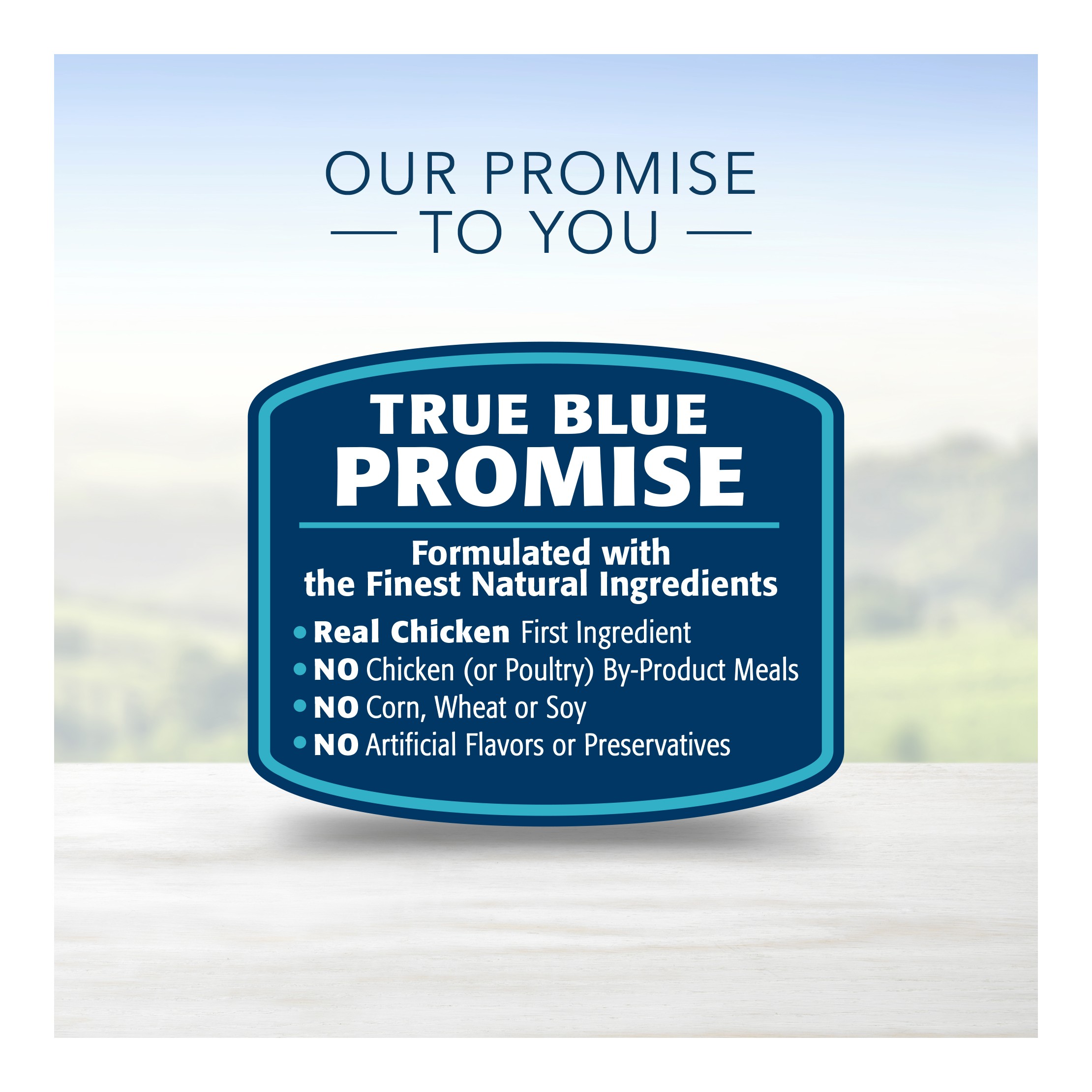 Life Protection Chicken & Oatmeal Recipe Small Breed Puppy Dry Dog Food