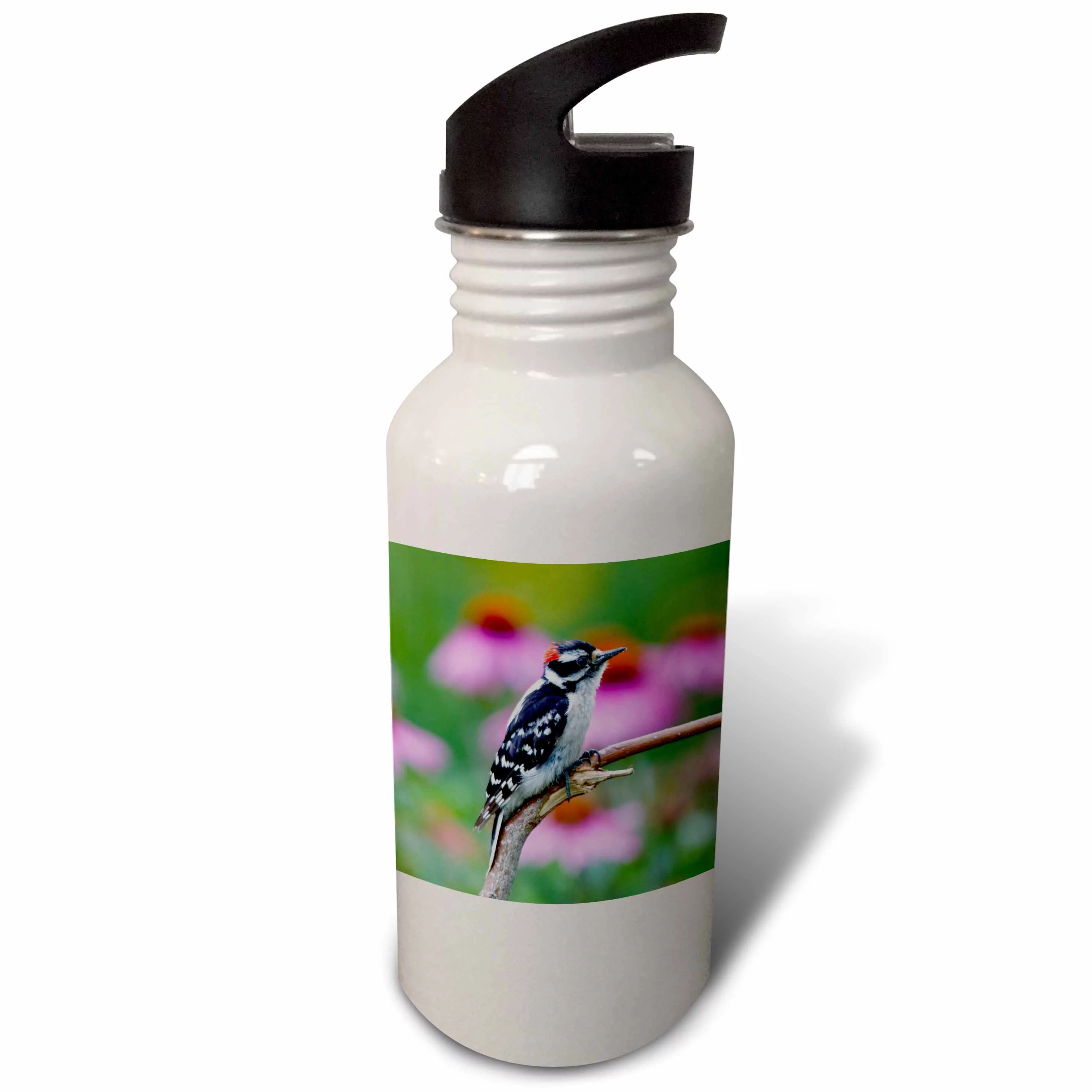 Downy Woodpecker near flower garden, Marion, Illinois, USA. 21 oz Sports Water Bottle wb-209249-1