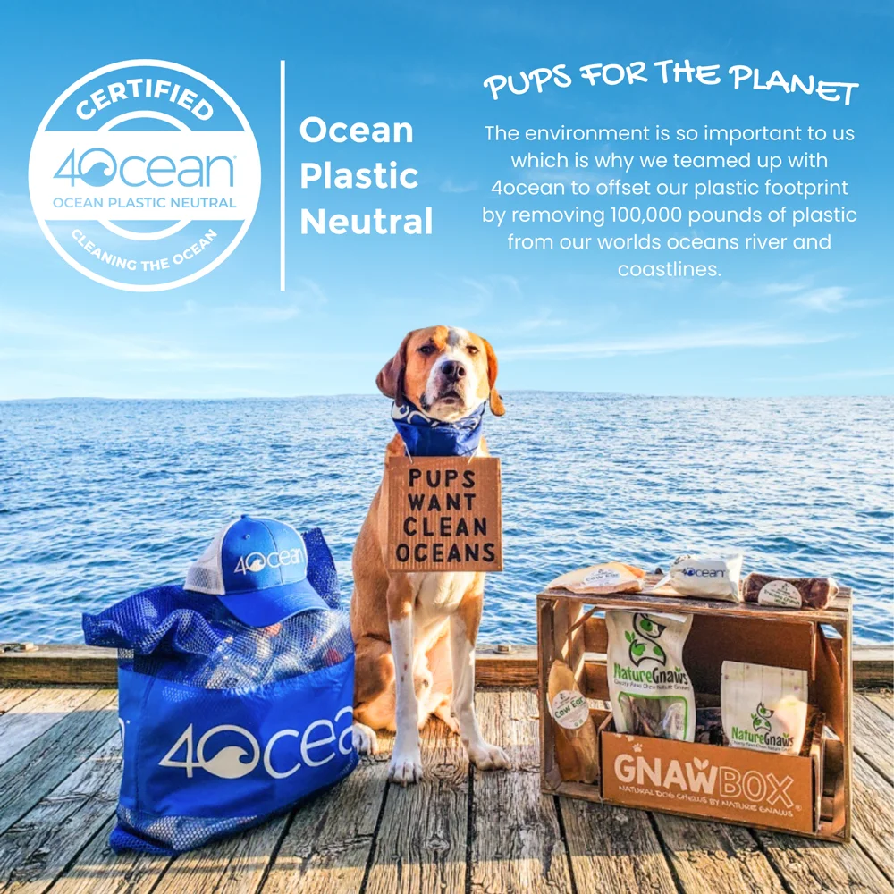 Nature Gnaws Natural Beef Bully Sticks for Dogs 5-6