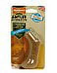 Nylabone Puppy Antler Alternative Chicken Flavored Dog Chew Toy, Petite