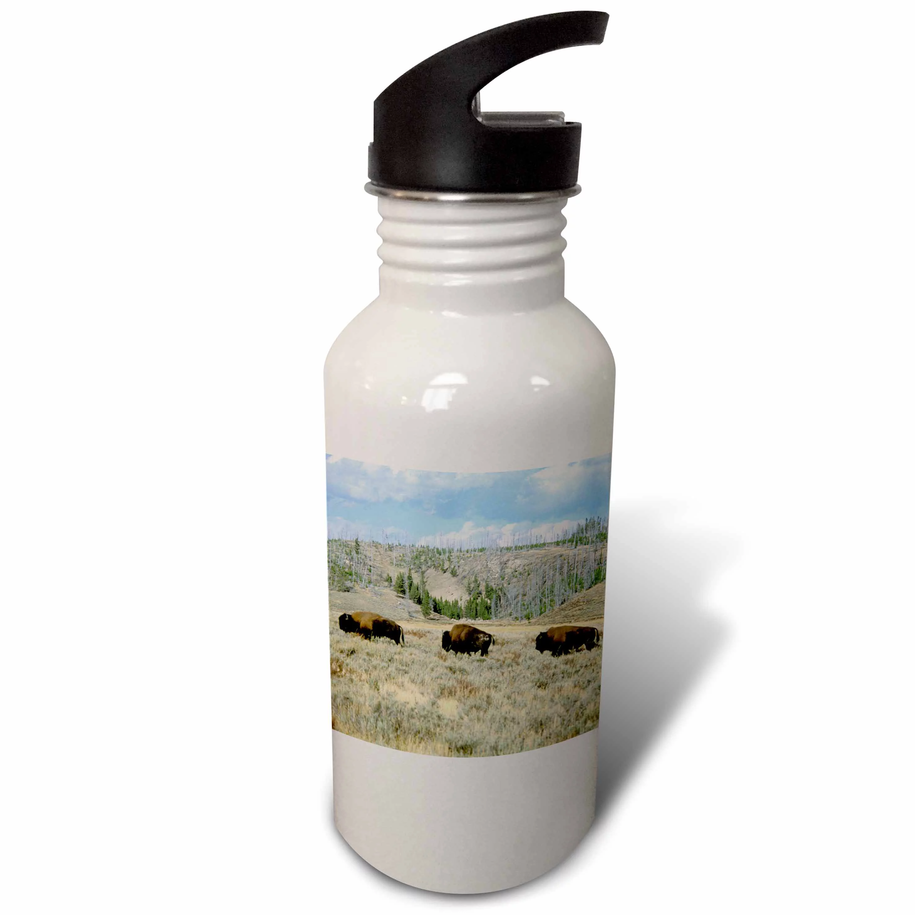 USA, Wyoming, Yellowstone NP, Bison - US51 TVE0011 - Tom Vezo 21 oz Sports Water Bottle wb-97635-1