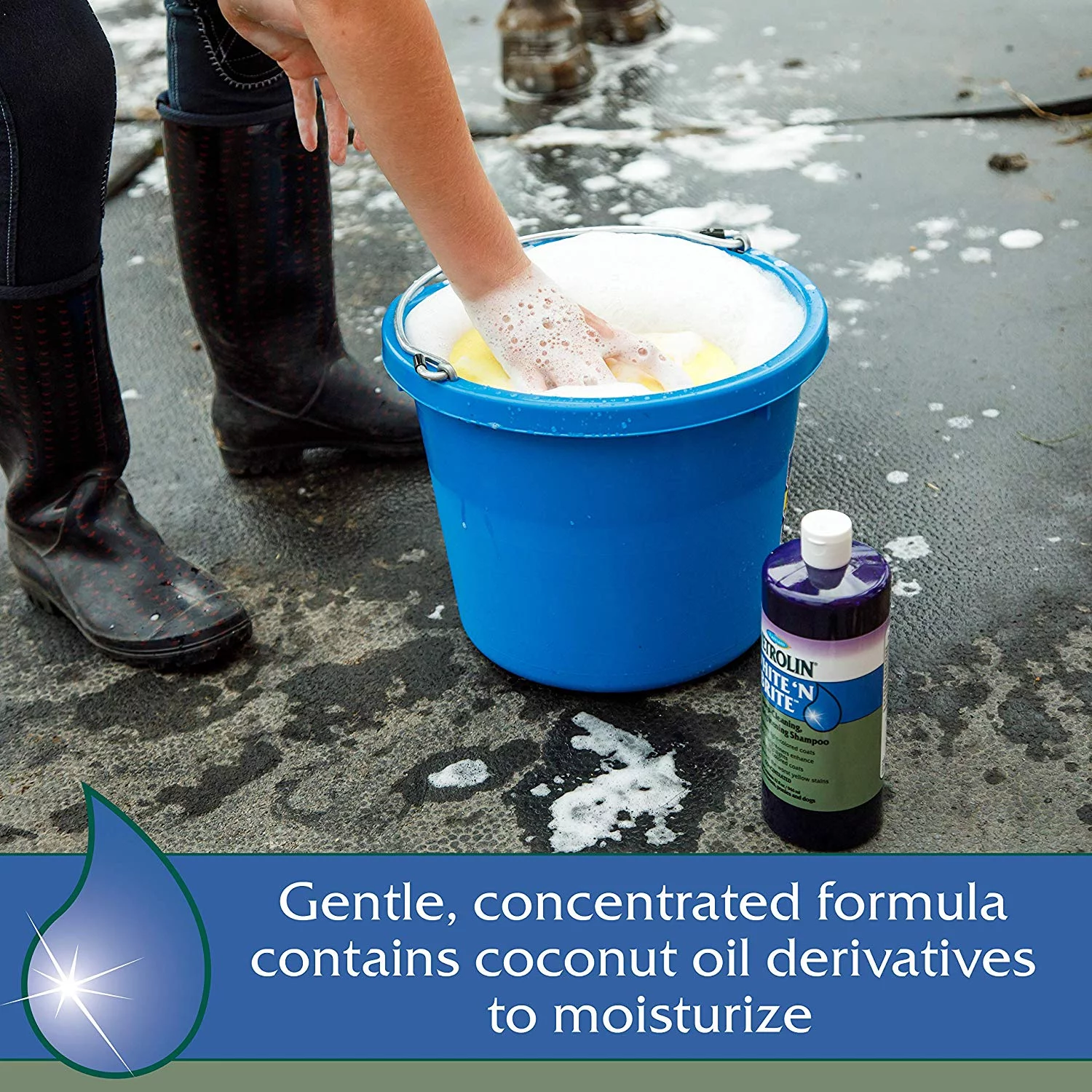 Farnam Vetrolin White N Brite Shampoo, Deep Cleaning and Color Brightening Shampoo for Horses and Dogs. 32 ounces