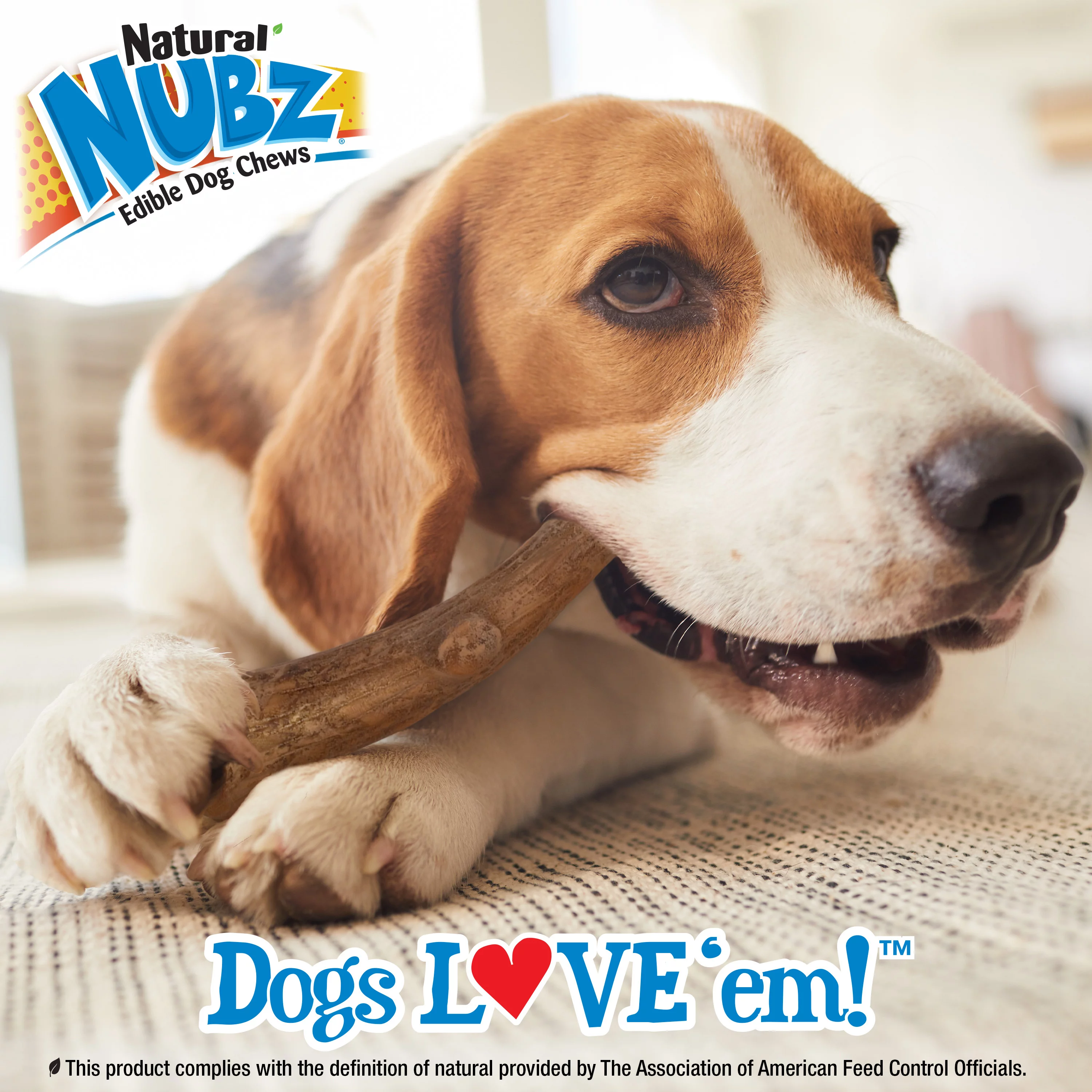 Nylabone Nubz WILD Antler Natural Long Lasting Edible Venison Dog Chews Large - 30+ lbs. (8 Count)