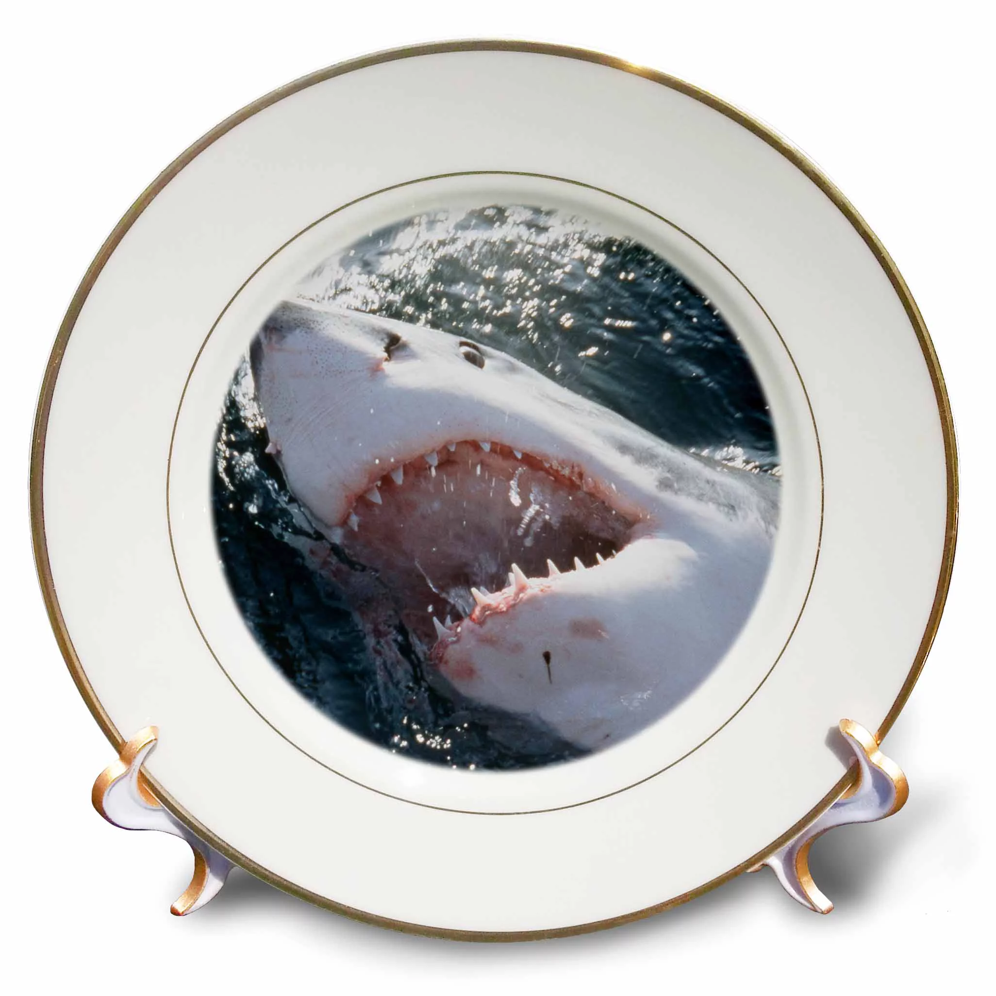 3dRose Great White Shark on sea , Porcelain Plate, 8-inch