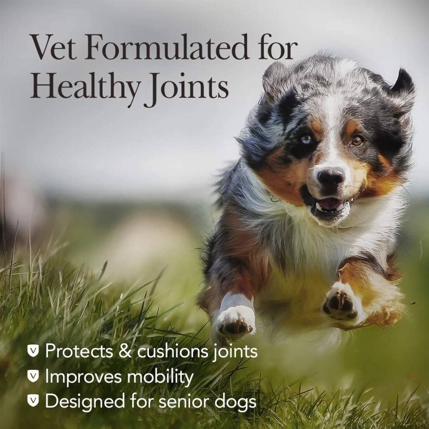 Nutri-Vet Hip  Joint Chewable Dog Supplements 90 Count