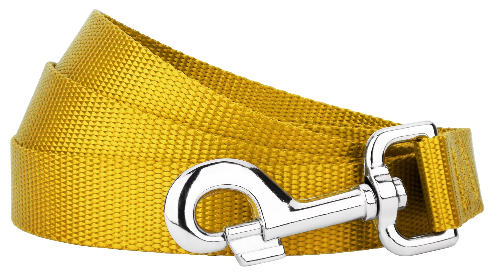 Country Brook Petz® 5/8 inch Nylon Dog Leash - Gold, 6 Foot