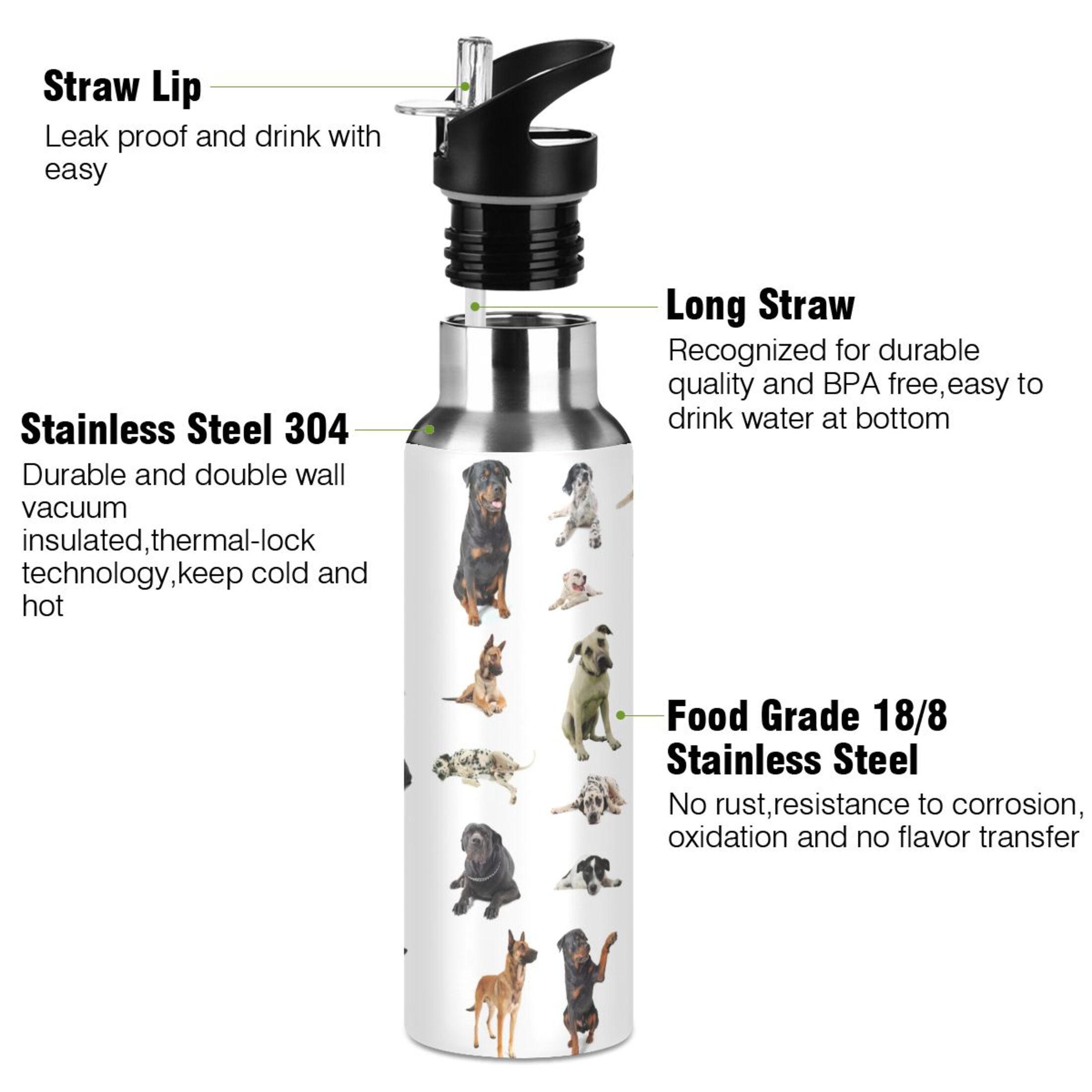 Dogs Different Water Bottles Insulated Thermos Kids Stainless Steel Bottle with Straw Lid Flask Leakproof for Sports Gym 20 oz