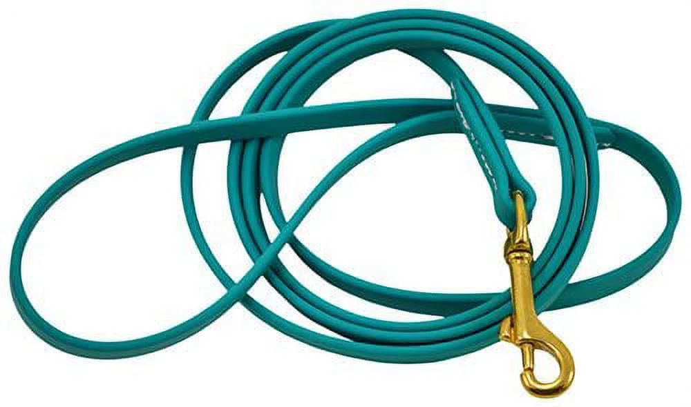 J&J Dog Supplies Biothane Dog Leash, 1/2