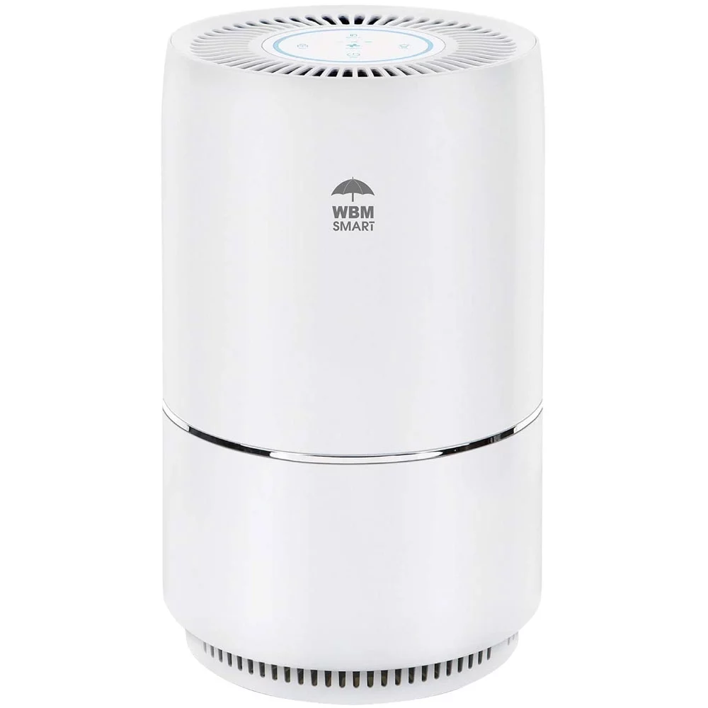 WBM Smart AR-03 Smart Bluetooth Speaker Air Purifier with 3-Stage Filtration, Pet-Friendly