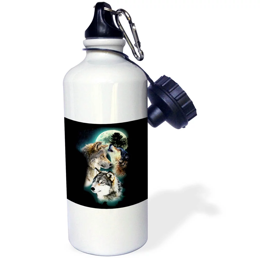 3dRose Three Beautiful Wolfs in front of the Moon on Black Background - Straw Water Bottle, 21-ounce