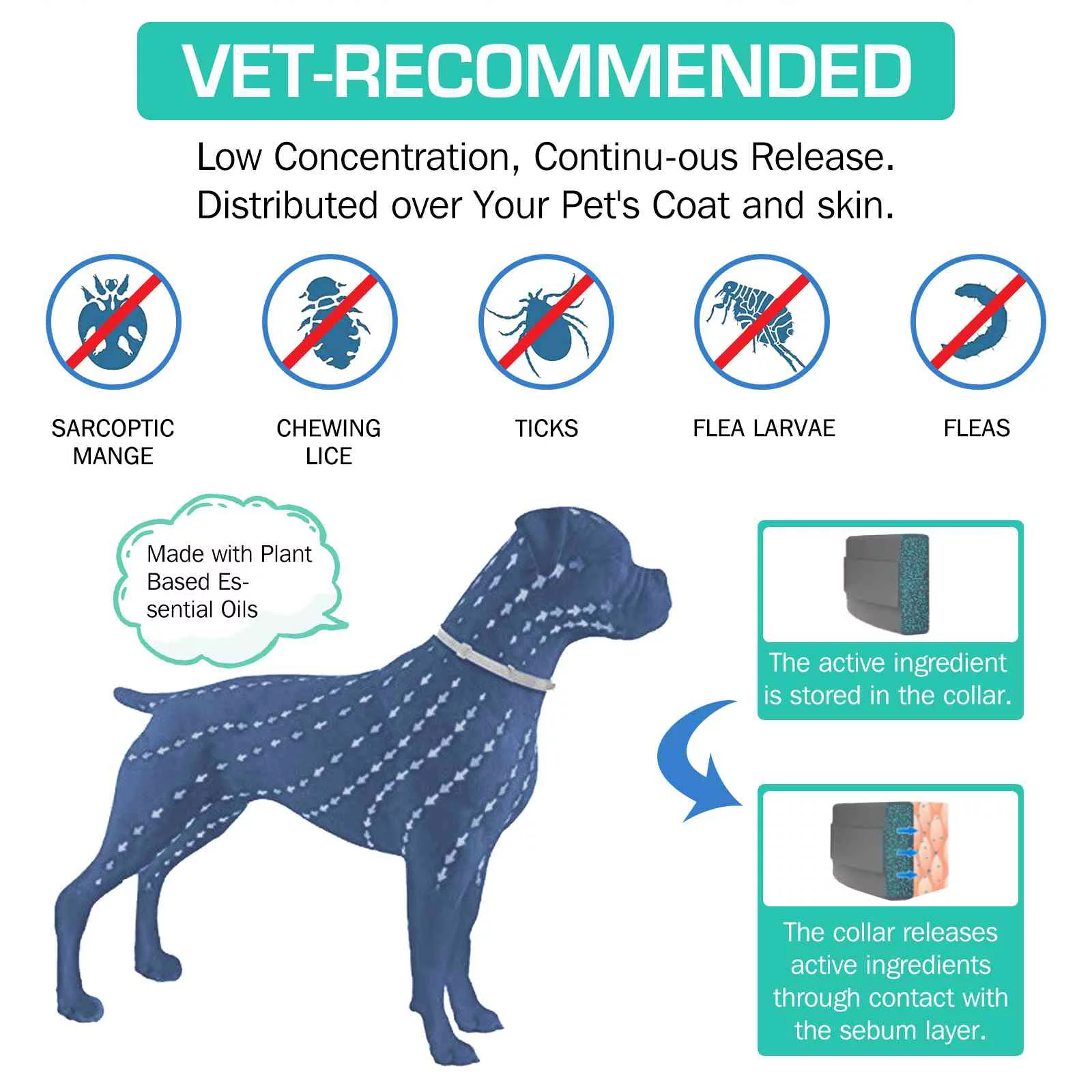 UrbanX Collar for Shepsky and Other Large Size Mixed Breed Dogs. Waterproof & Adjustable (2 Packs)