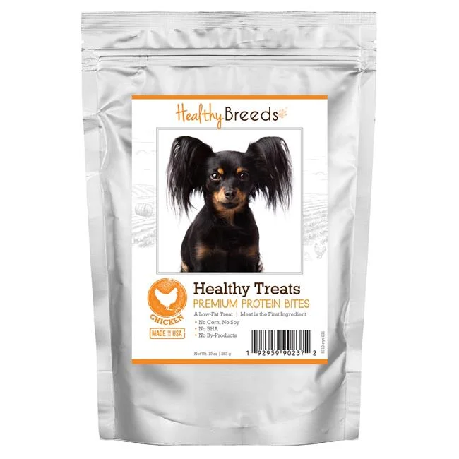 Russian Toy Terrier Healthy Treats Premium Protein Bites Chicken Dog Treats, 10 oz