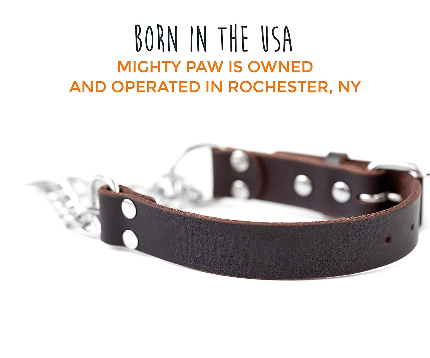 Mighty Paw Leather Training Collar, Martingale Collar, Stainless Steel Chain - Limited Chain Cinch Collar
