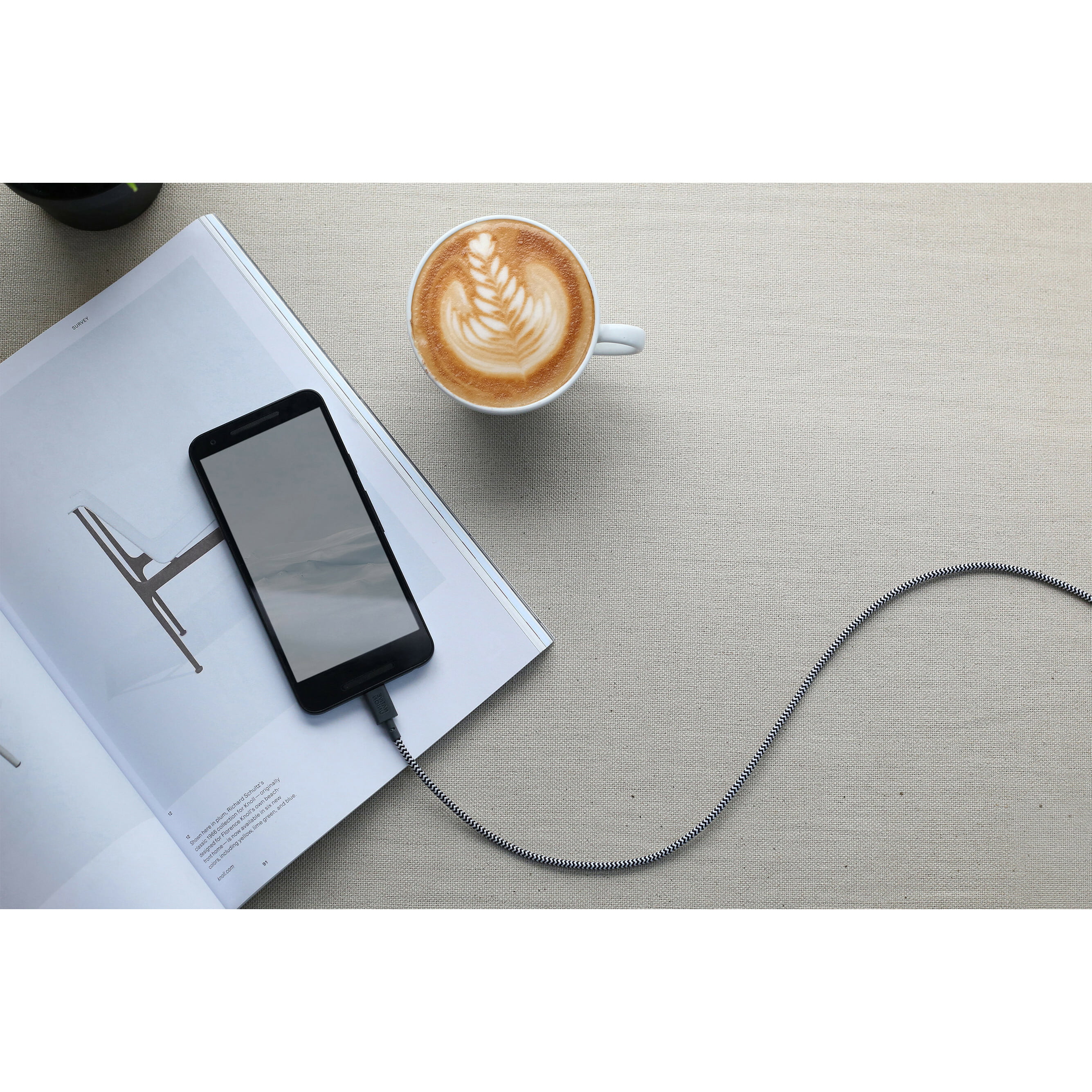 Native Union Belt - Lightning cable - Lightning male to USB male - 4 ft - zebra