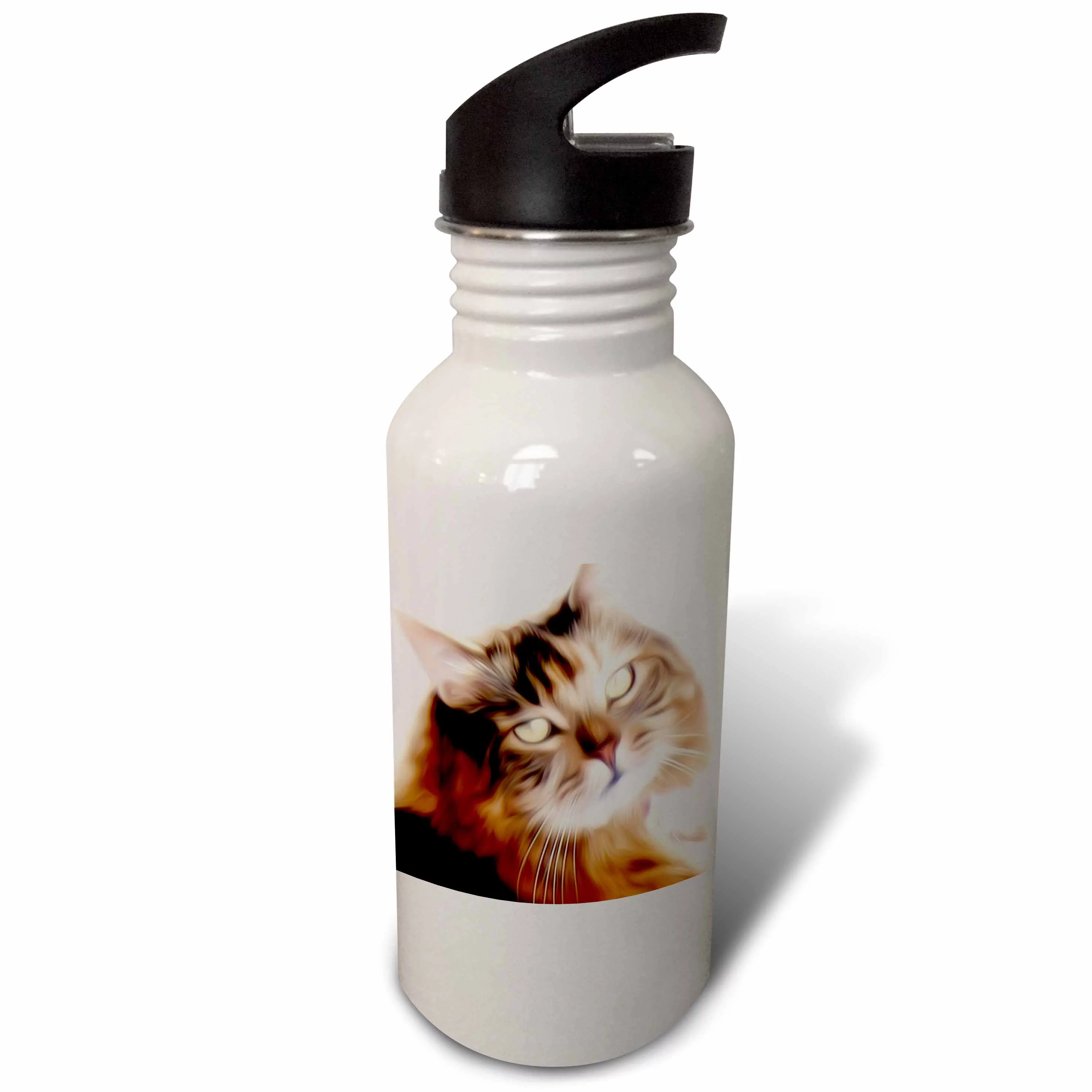 Beautiful Painted Maine Coon Cat 21 oz Sports Water Bottle wb-53802-1