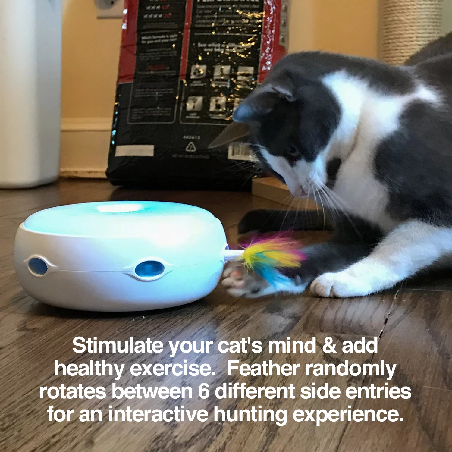 PetFusion Ambush Interactive Electronic Cat Toy