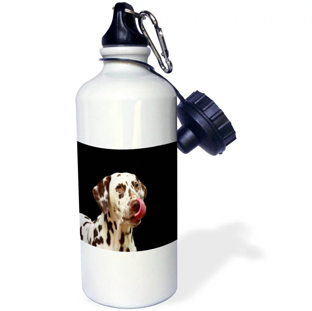 3dRose Image of Dalmatian Portrait With Cute Tongue Rolled Up - Straw Water Bottle, 21-ounce