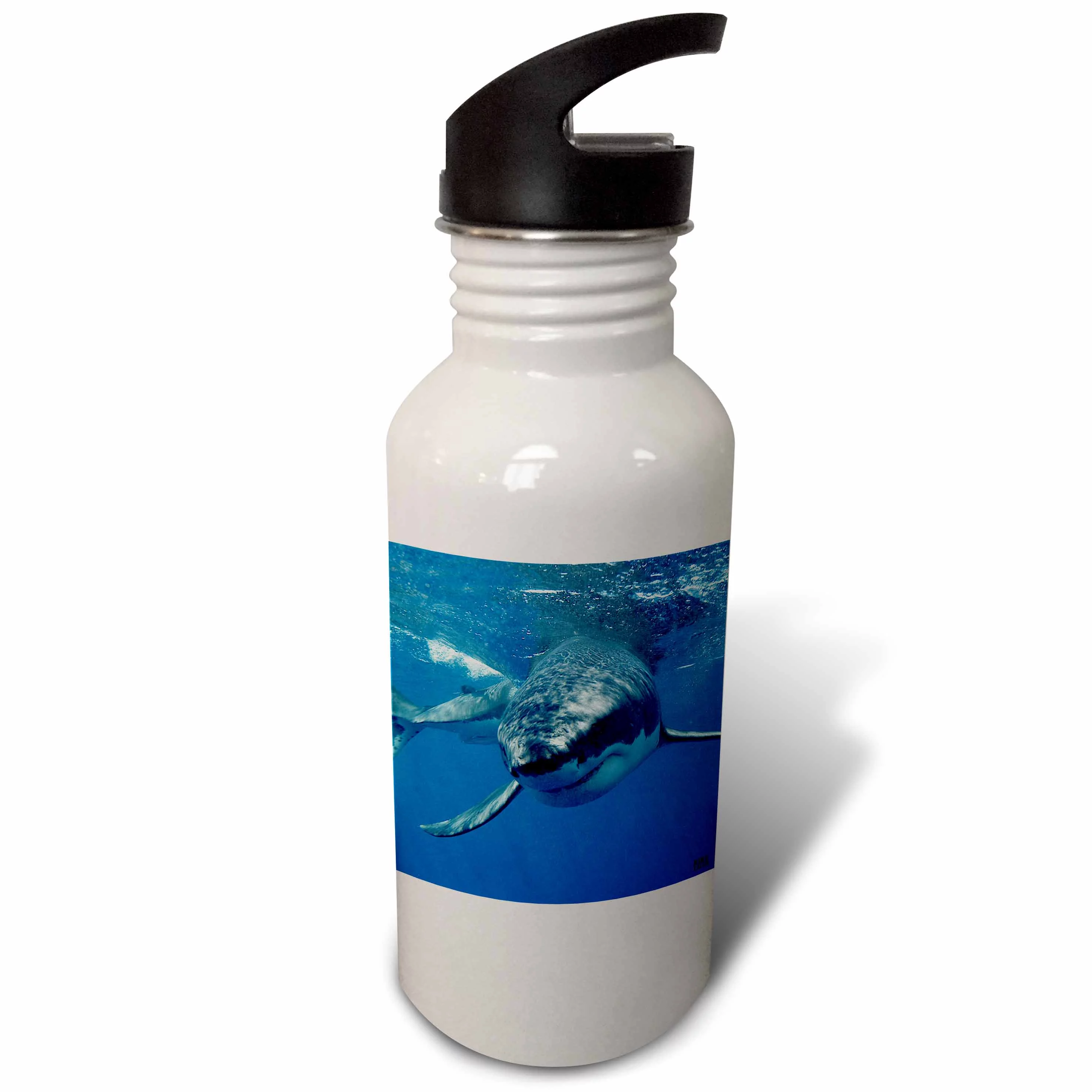 3dRose Great White Shark, Sports Water Bottle, 21oz