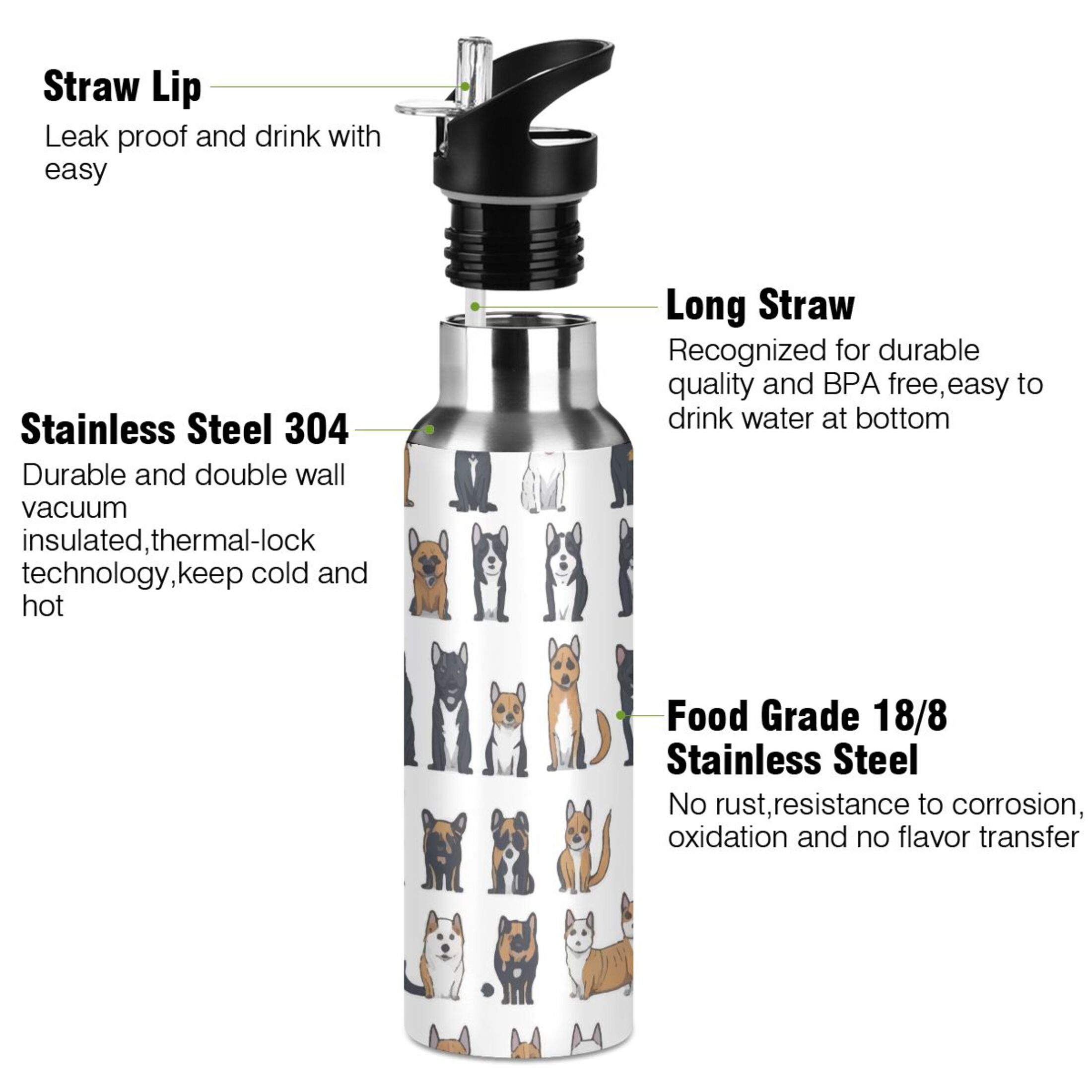 Different Cute Cartoon Dogs Water Bottles Insulated Thermos Kids Stainless Steel Bottle with Straw Lid Flask Leakproof for Sports Gym 20 oz
