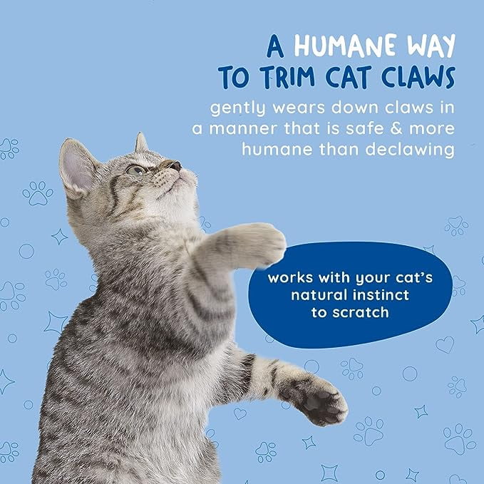 Kitty Cure Litter Box Emery Board