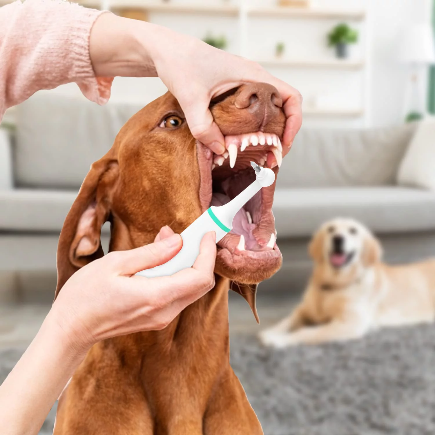 Dog Tartar Cleaner Electric Life Basis Professional Teeth Polisher Pet Calculus Plaque Stains Teeth Cleaner with 4 Brush Head Puppy Dental Scaler Care Cleaning Tools Kit