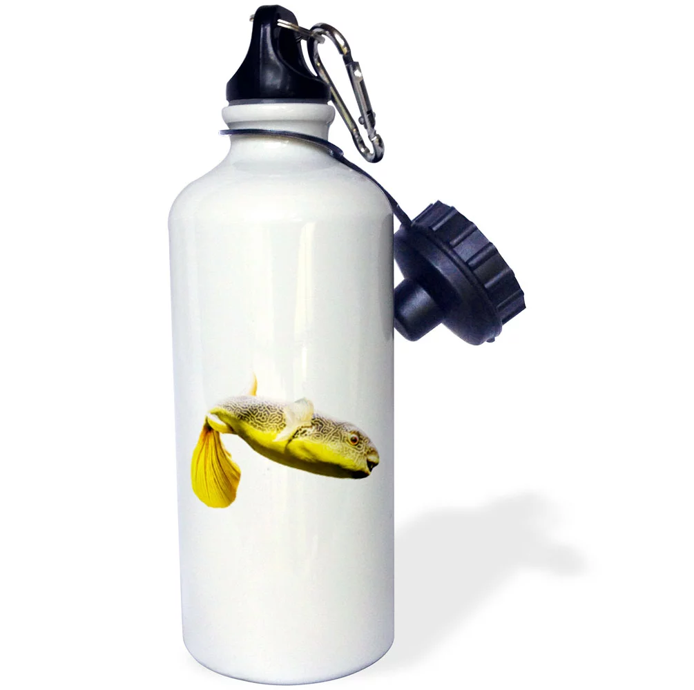 3dRose Giant Freshwater Puffer Fish Tetraodon Mbu Blowfish - Water Bottle, 21-ounce