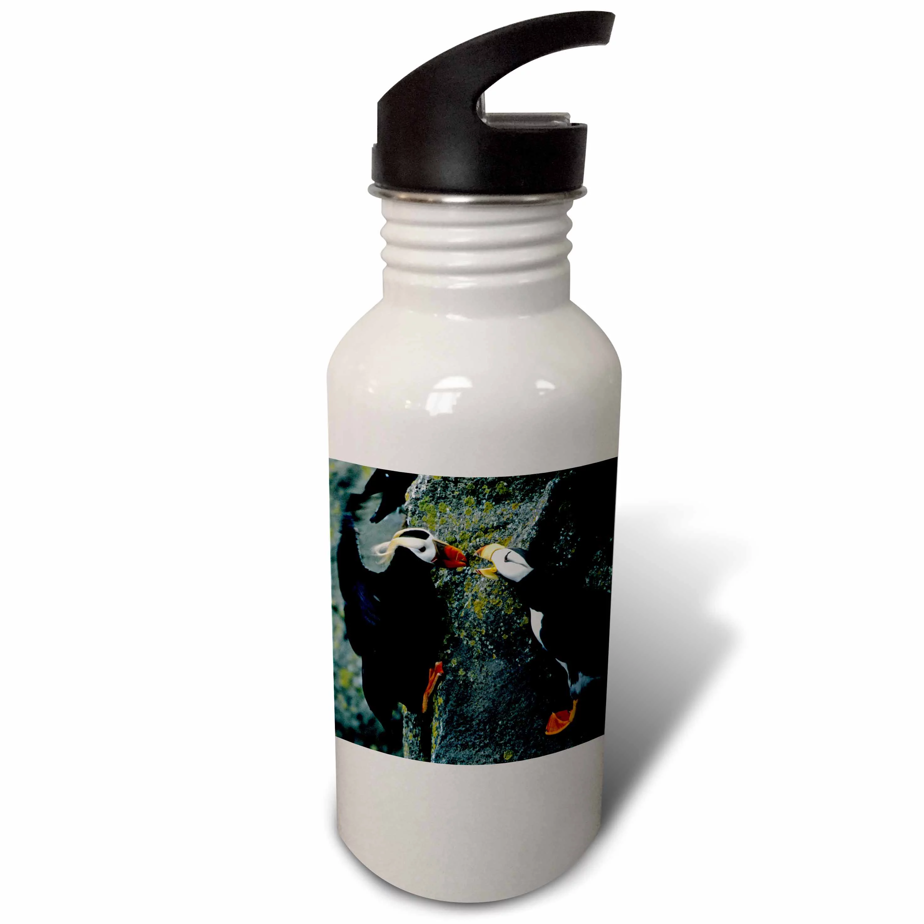 Alaska, Pribilof Islands. Puffin birds, cliffside - US02 BJA0099 - Jaynes Gallery 21 oz Sports Water Bottle wb-87344-1