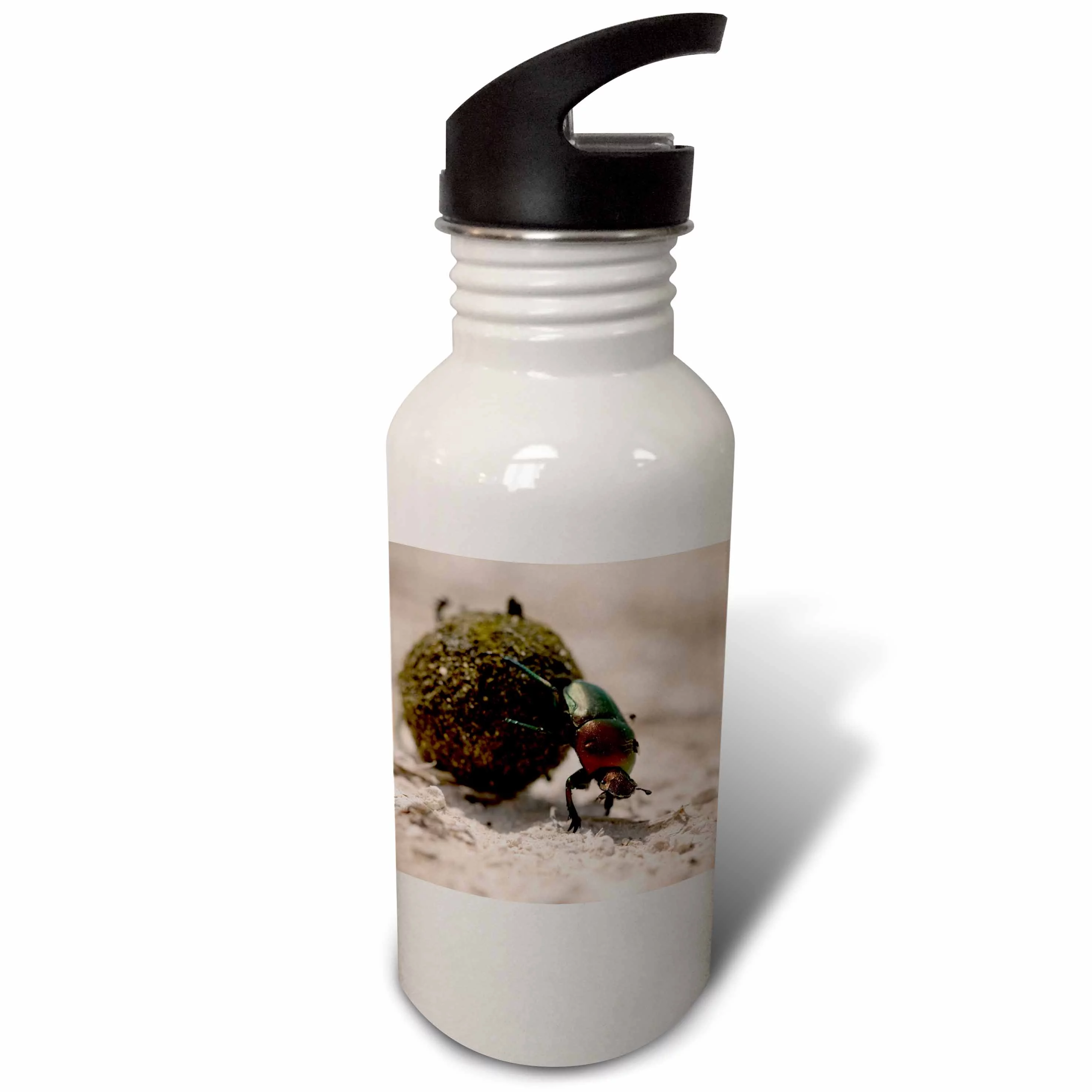 Namibia, Etosha NP, Dung Beetle insect-AF31 PSO0122 - Paul Souders 21 oz Sports Water Bottle wb-72690-1