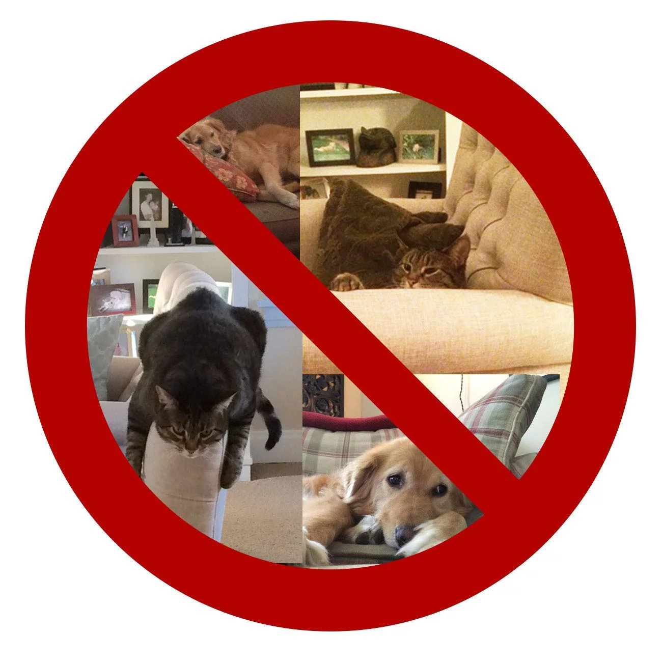 Enthusiast Gear Pet Repellent Mat - Non Electric Cat & Dog Deterrent Mat