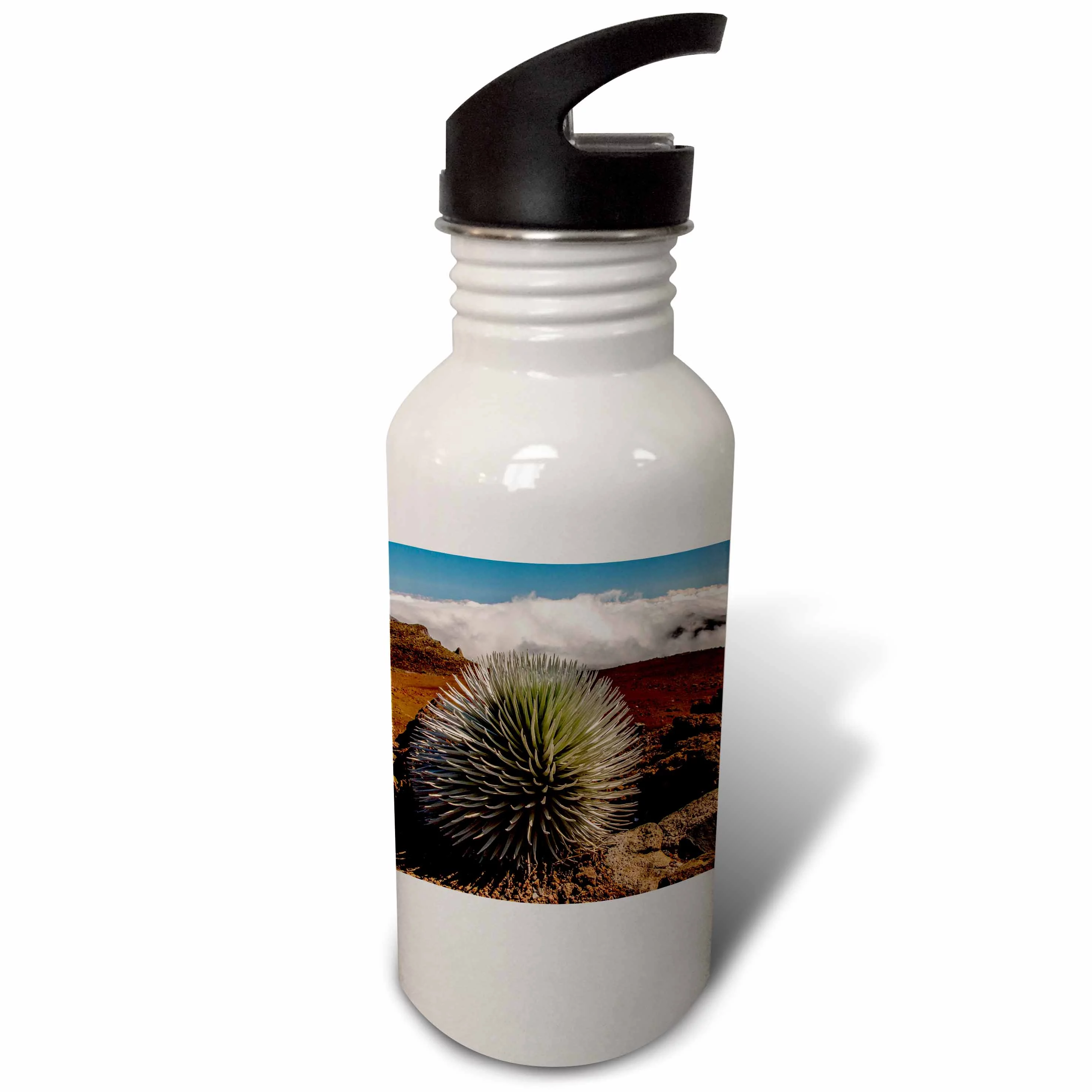 USA, Hawaii, Maui, Haleakala NP. Close-up of silversword plant. 21 oz Sports Water Bottle wb-190904-1