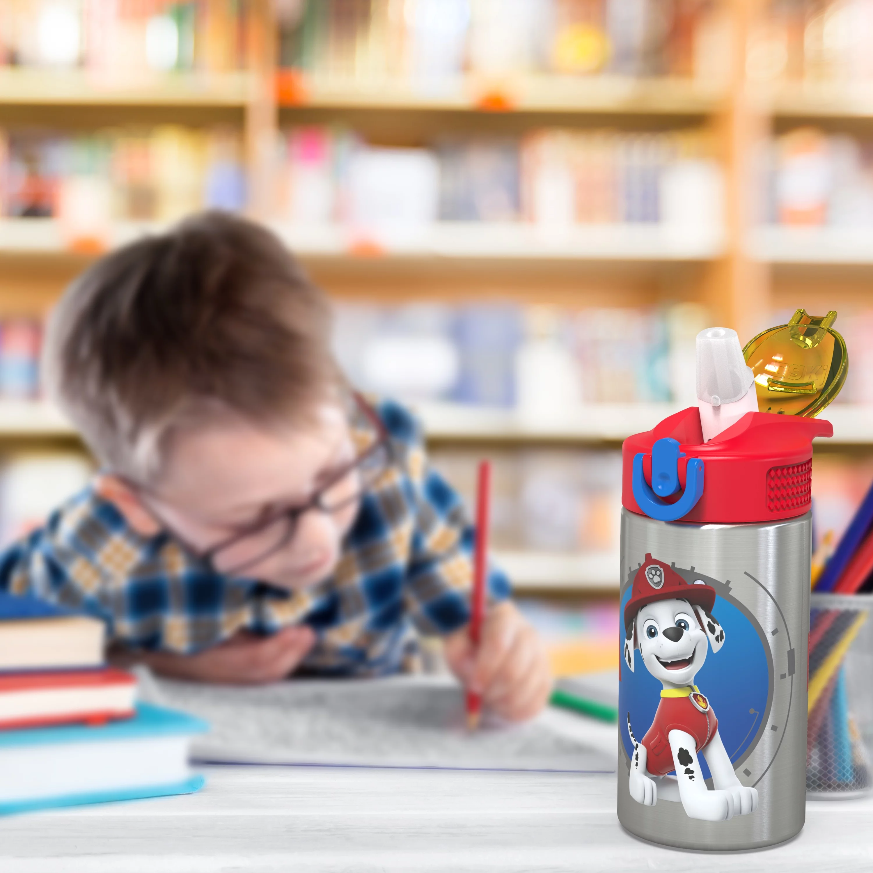 Zak Designs 6 pcs PAW Patrol Kids Dinnerware Set Melamine Stainless Steel Plate Bowl Tumbler Flatware Water Bottle, Marshall, Skye and Friends