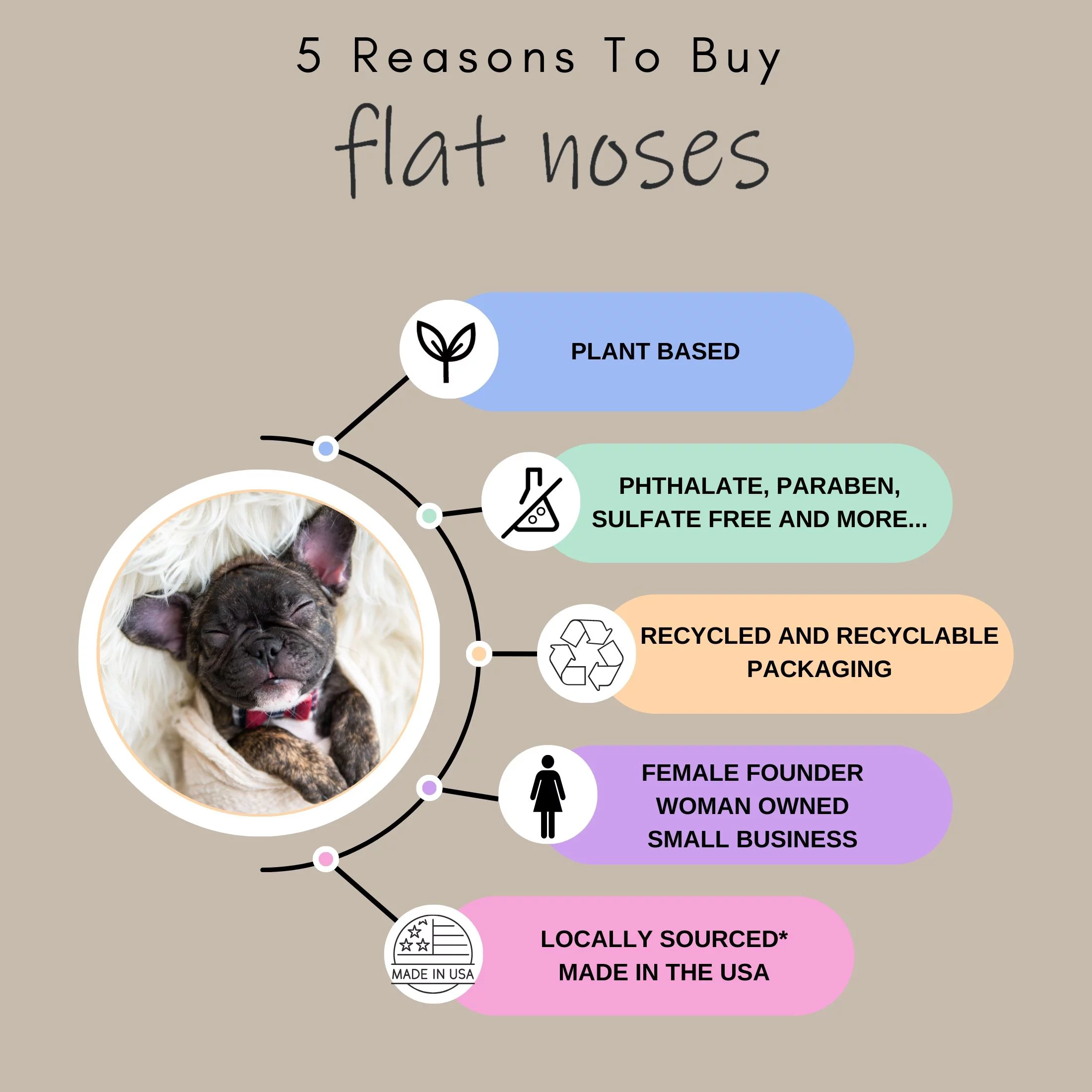 Flat Noses Tearless Pet Shampoo - Soothing Aloe and Moisturizing Jojoba Oil - 16 oz