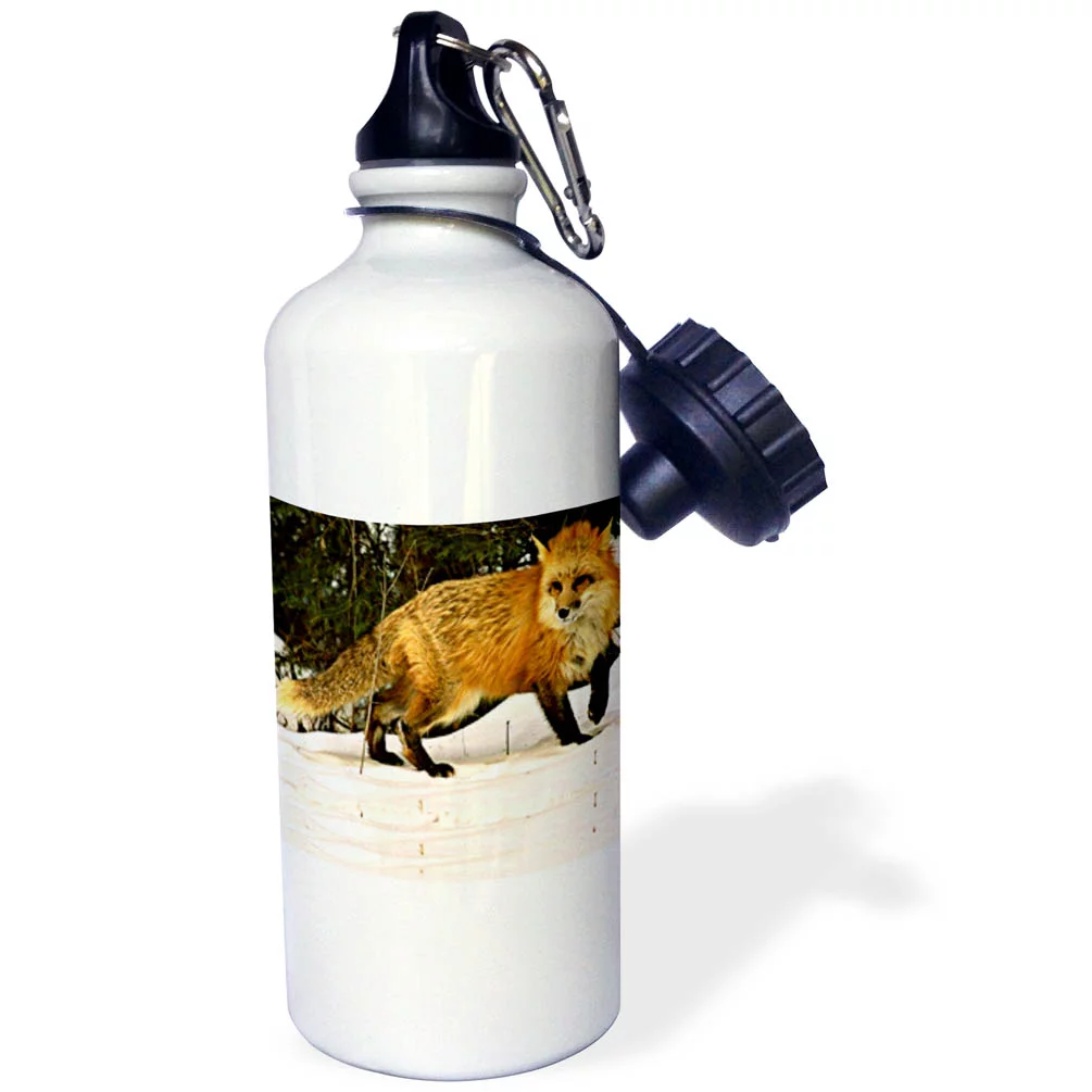 Red Fox 21 oz Sports Water Bottle wb-771-1