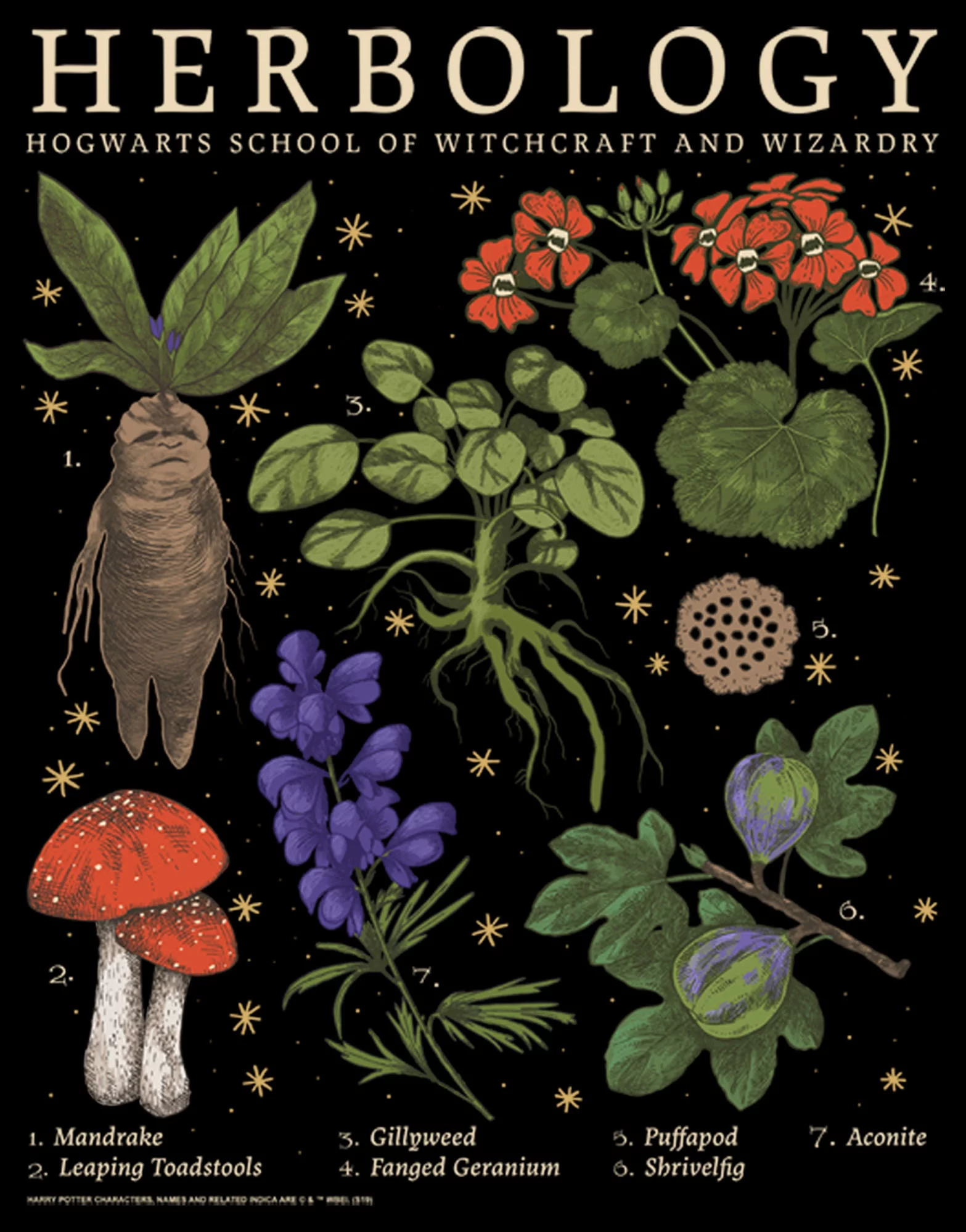 Junior's Harry Potter Hogwarts Herbology  Sweatshirt Black Large