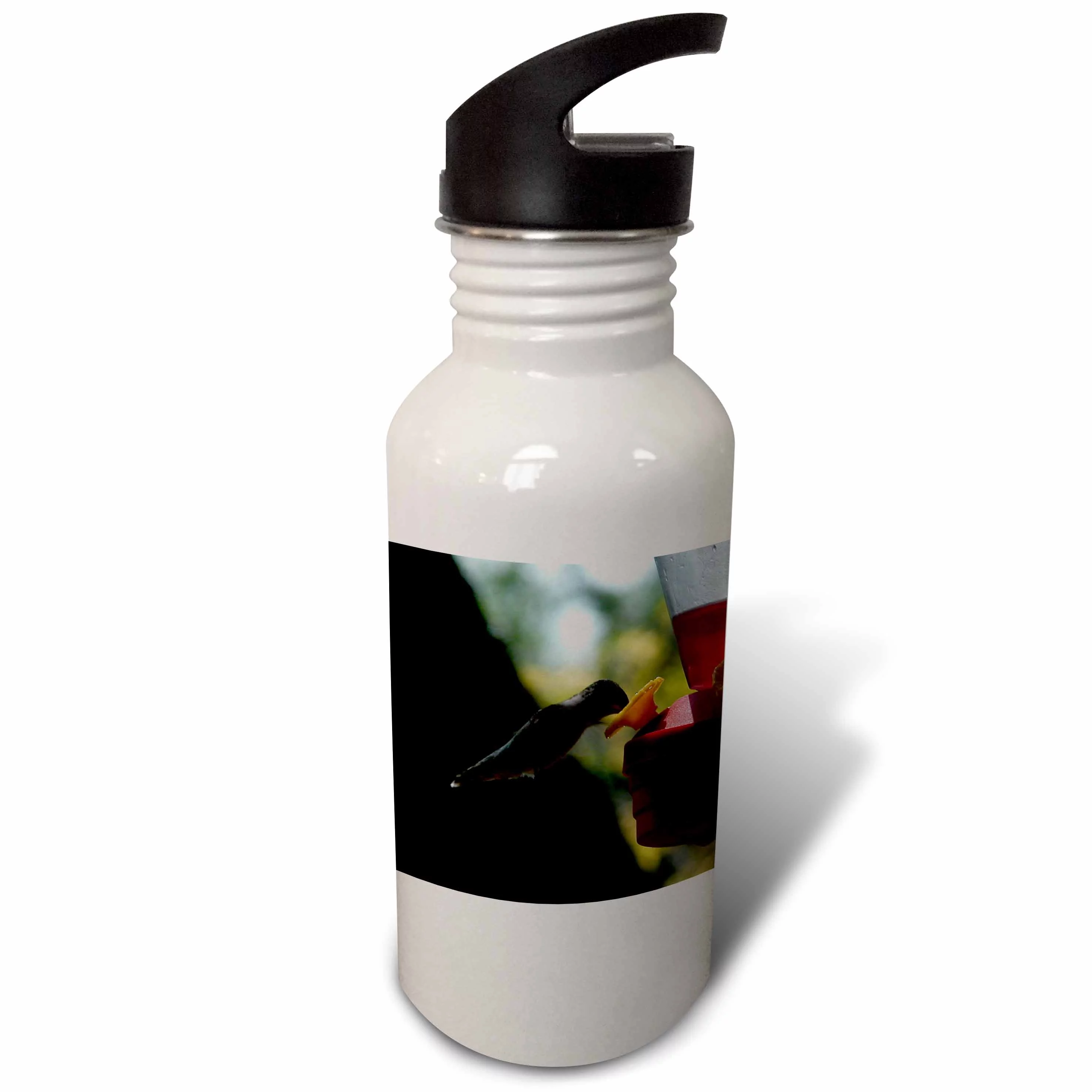 3dRose Hummingbird Drinking, Sports Water Bottle, 21oz