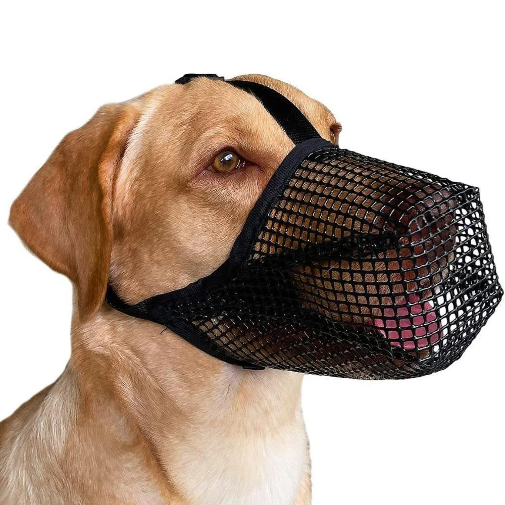 Anti-lick Pet Muzzle Breathable Anti-Biting Chewing Licking Dog Muzzle