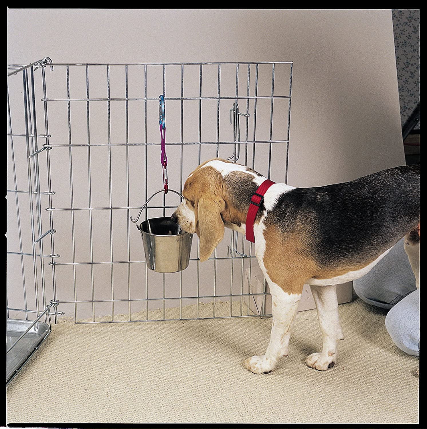 Stainless Steel Flat Sided Pails — Durable Pails For Fences, Cages, Crates, Or Kennels - 8¾