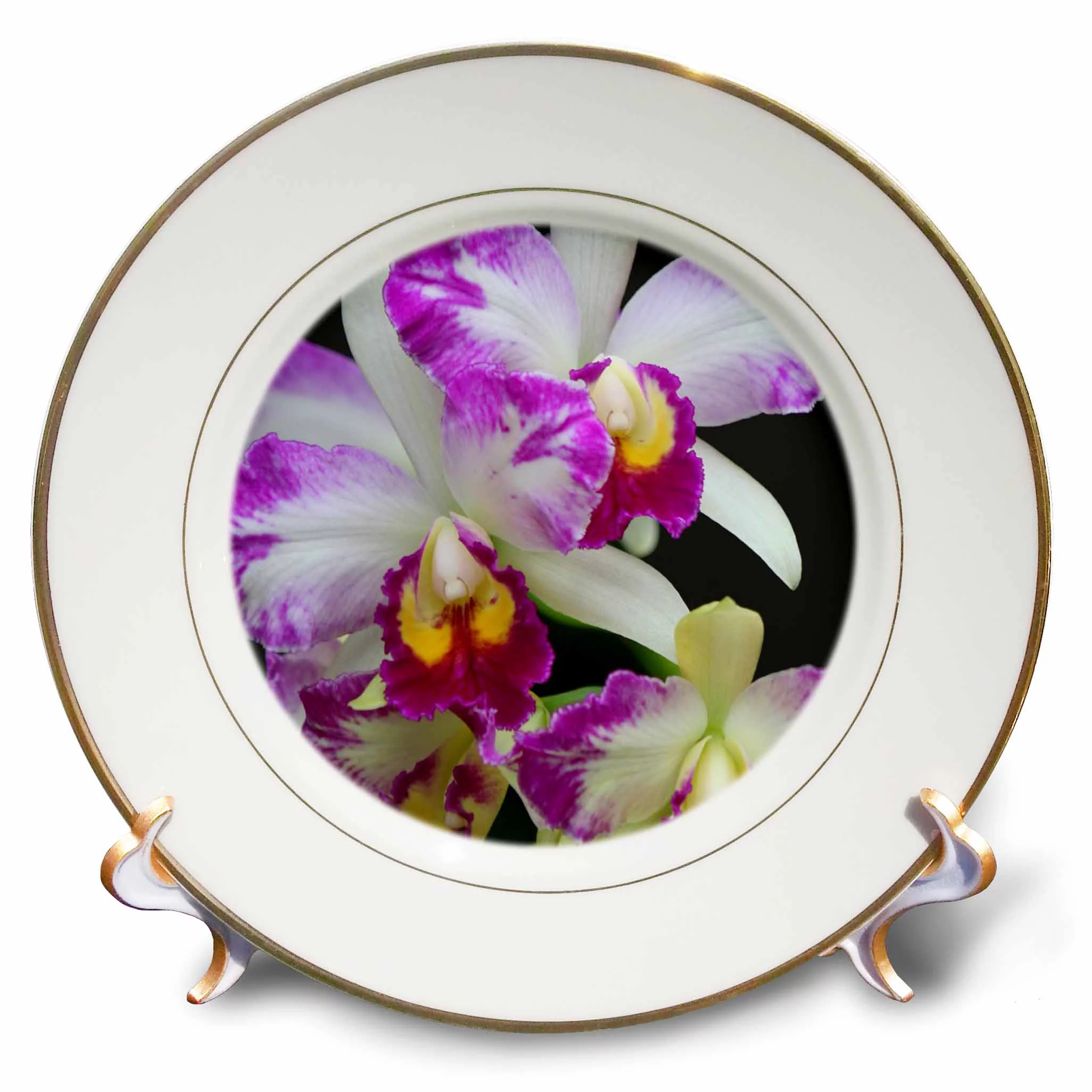 ORCHID - GG 8 inch Porcelain Plate cp-9018-1