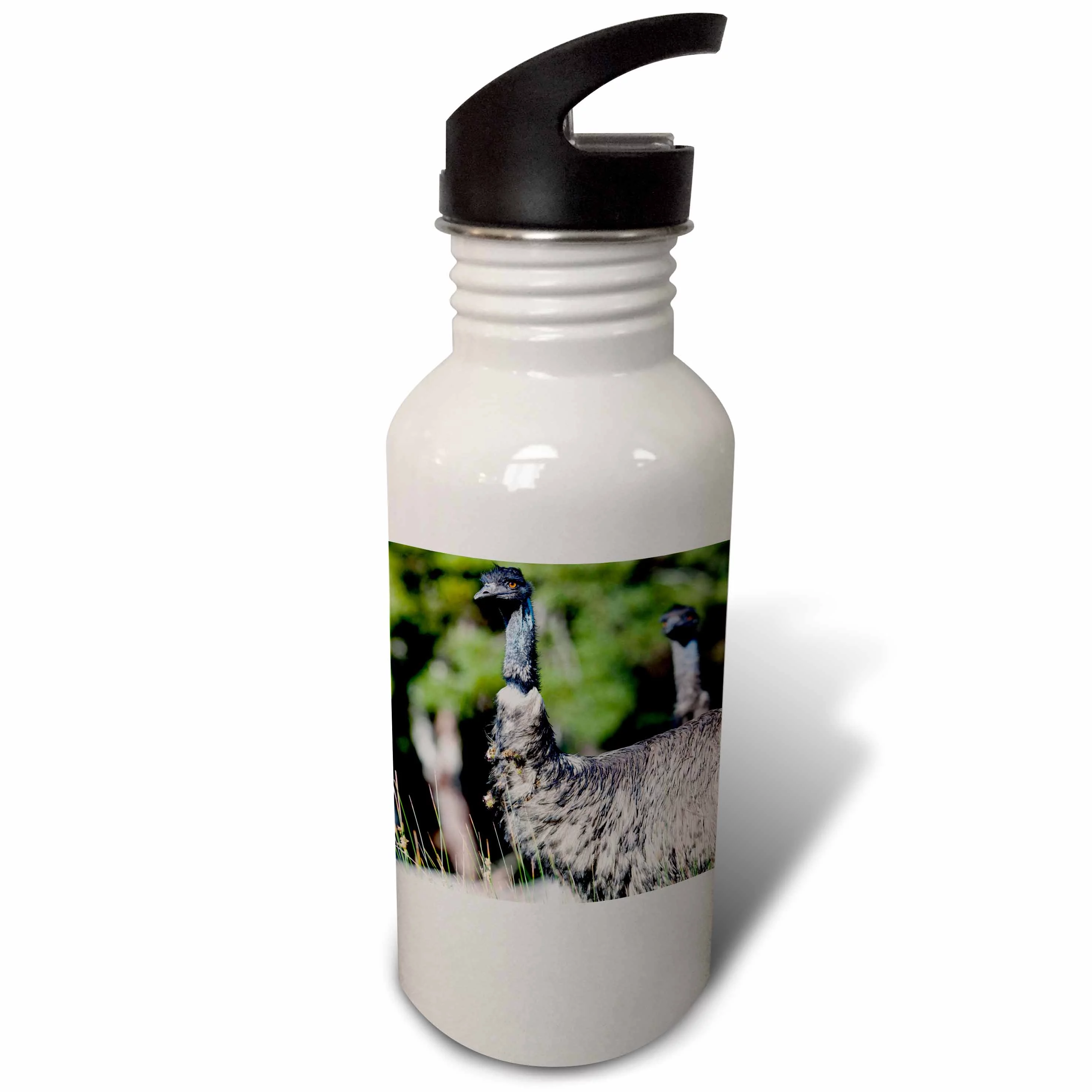 Emu wildlife, Victoria, Australia - AU01 MZW0318 - Martin Zwick 21 oz Sports Water Bottle wb-133586-1
