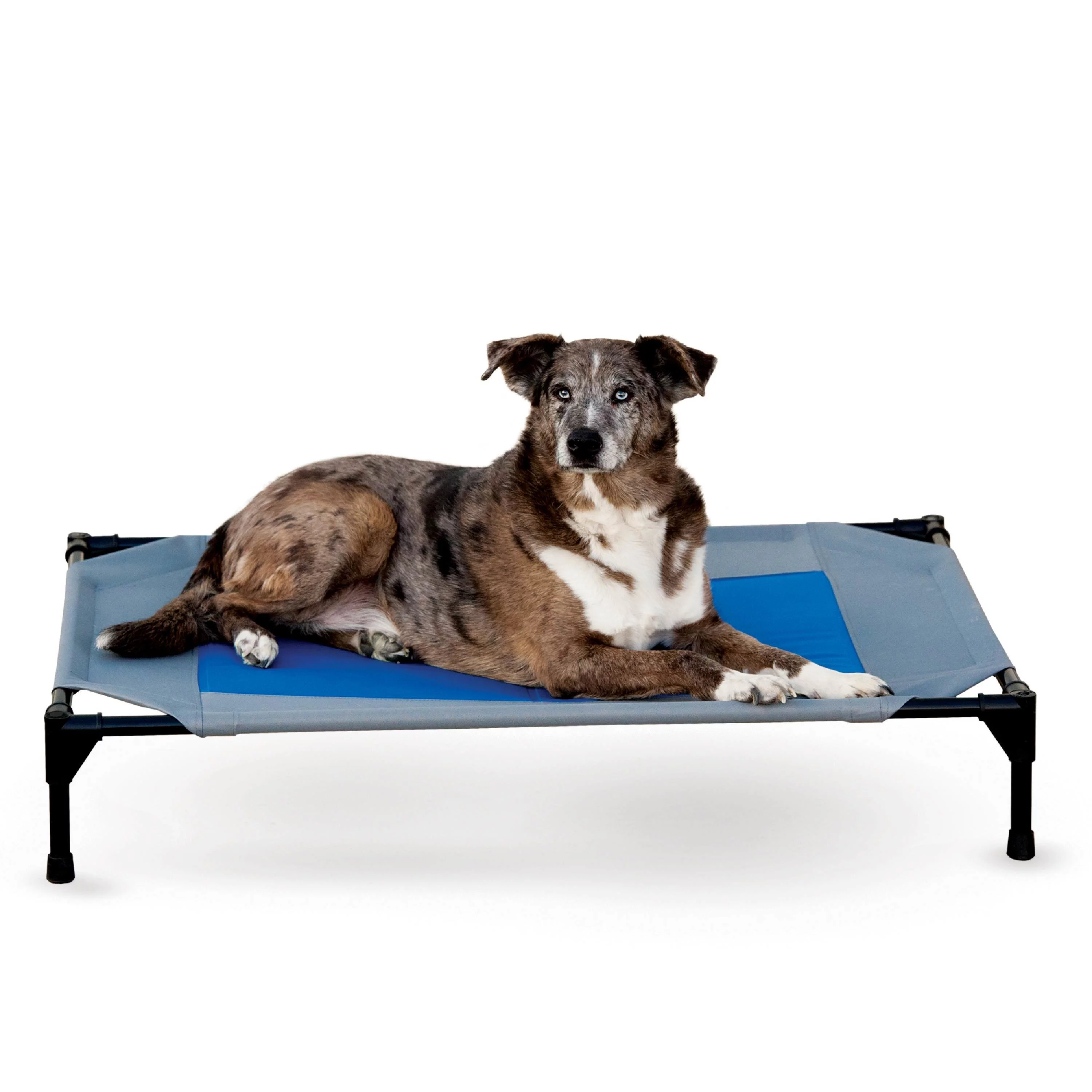 K&H Pet Products Coolin' Pet Cot Elevated Pet Bed Gray/Blue Large 30 X 42 X 7 Inches