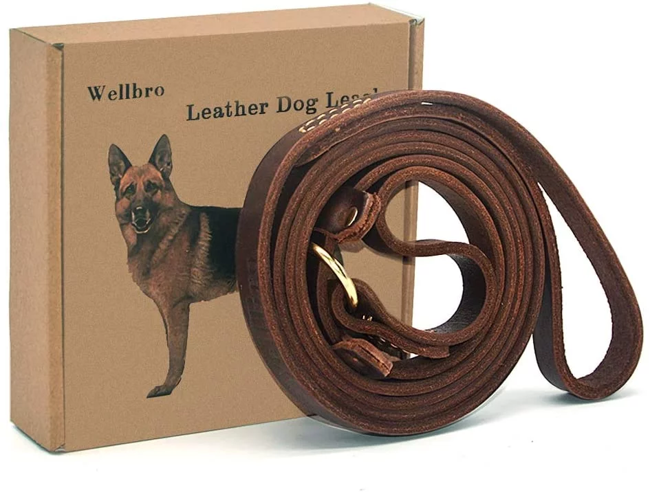 Wellbro Real Leather Slip Lead Dog Leash, Adjustable Stitched Pet Slip Leads with Slider, Heavy Duty Flat Dog Training Leashes for Medium and Large Dogs, 5ft Long by 0.7