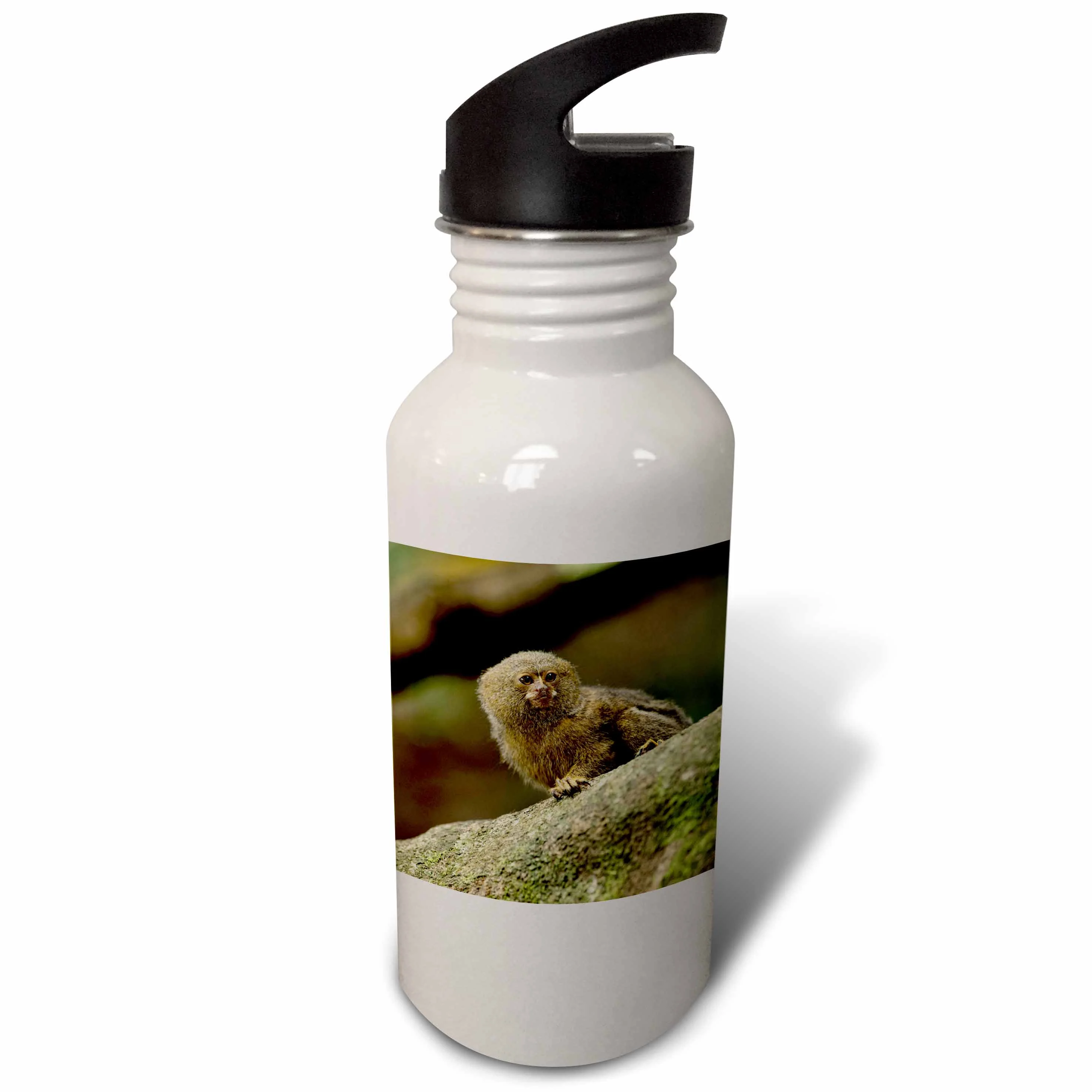3dRose Pygmy Marmoset wildlife, Cocaya River, Amazon Ecuador - SA07 POX2033 - Pete Oxford, Sports Water Bottle, 21oz