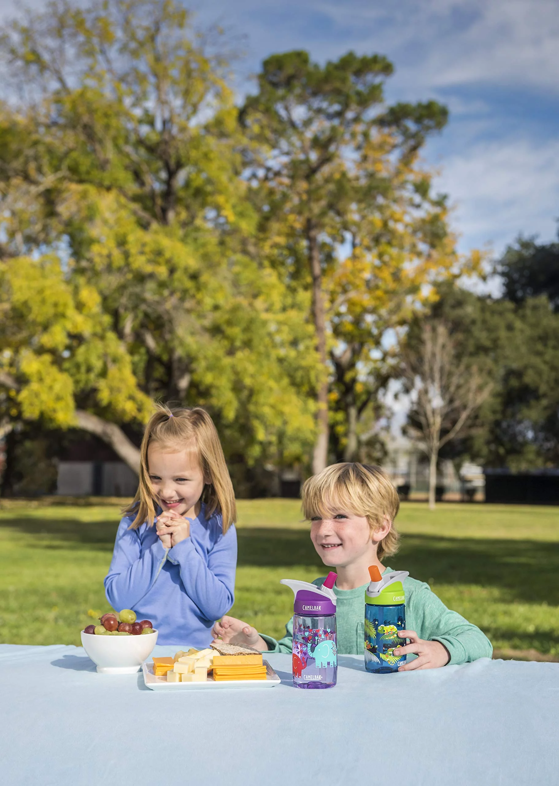 CamelBak Eddy Kids BPA Free Water Bottle Airplane Bandits Bottle Only