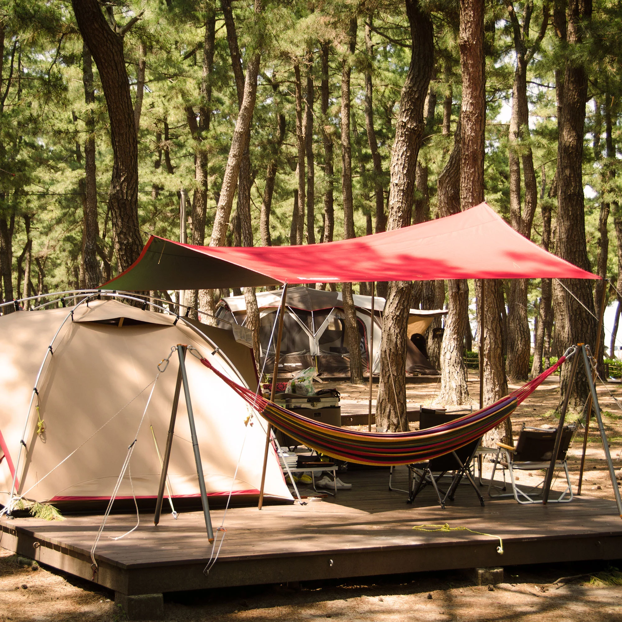 Unique Bargains Aluminium Alloy Tent Stakes with Rope Hook Spring Tensioner Deck Pegs