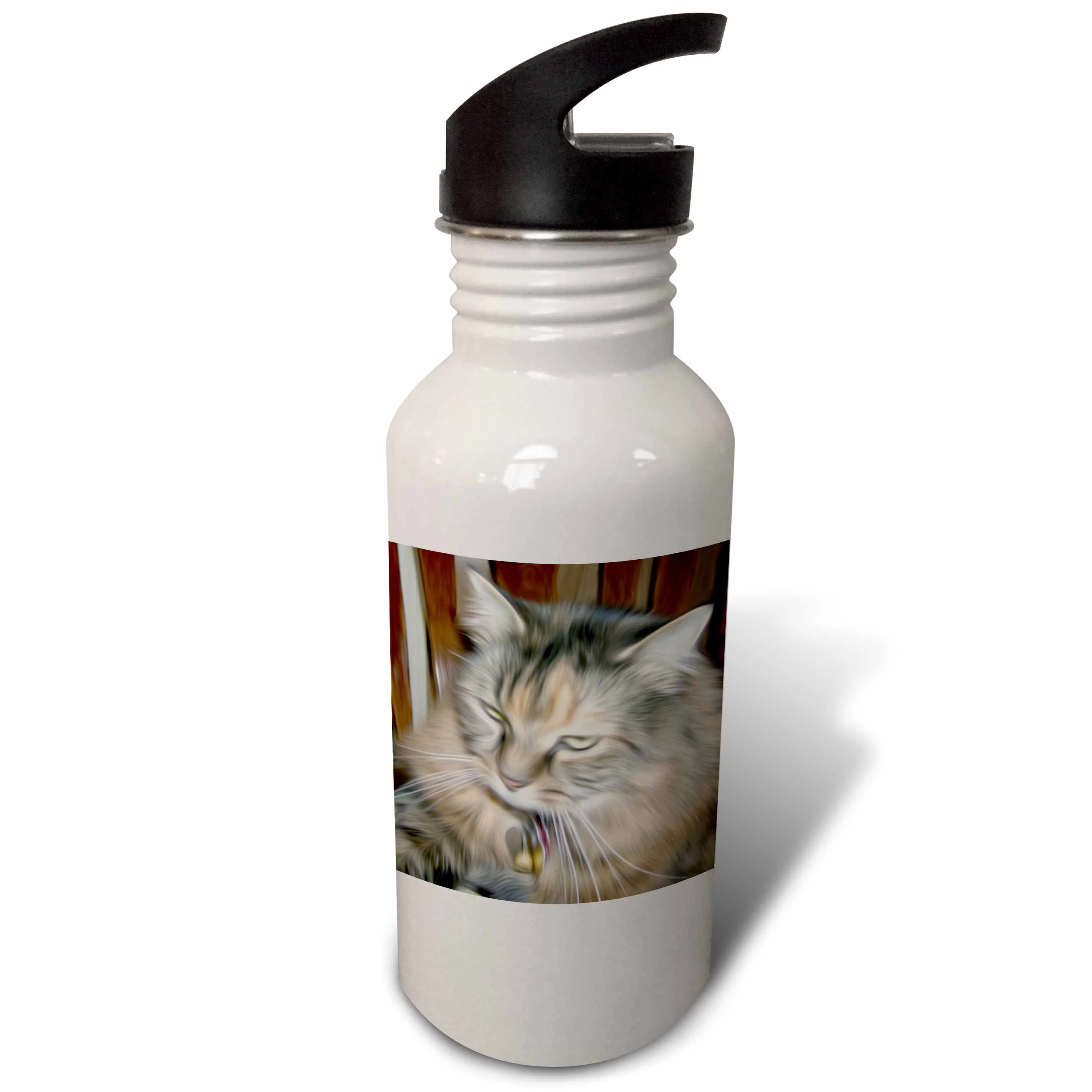 Beautiful Painted Maine Coon Cat 21 oz Sports Water Bottle wb-53812-1
