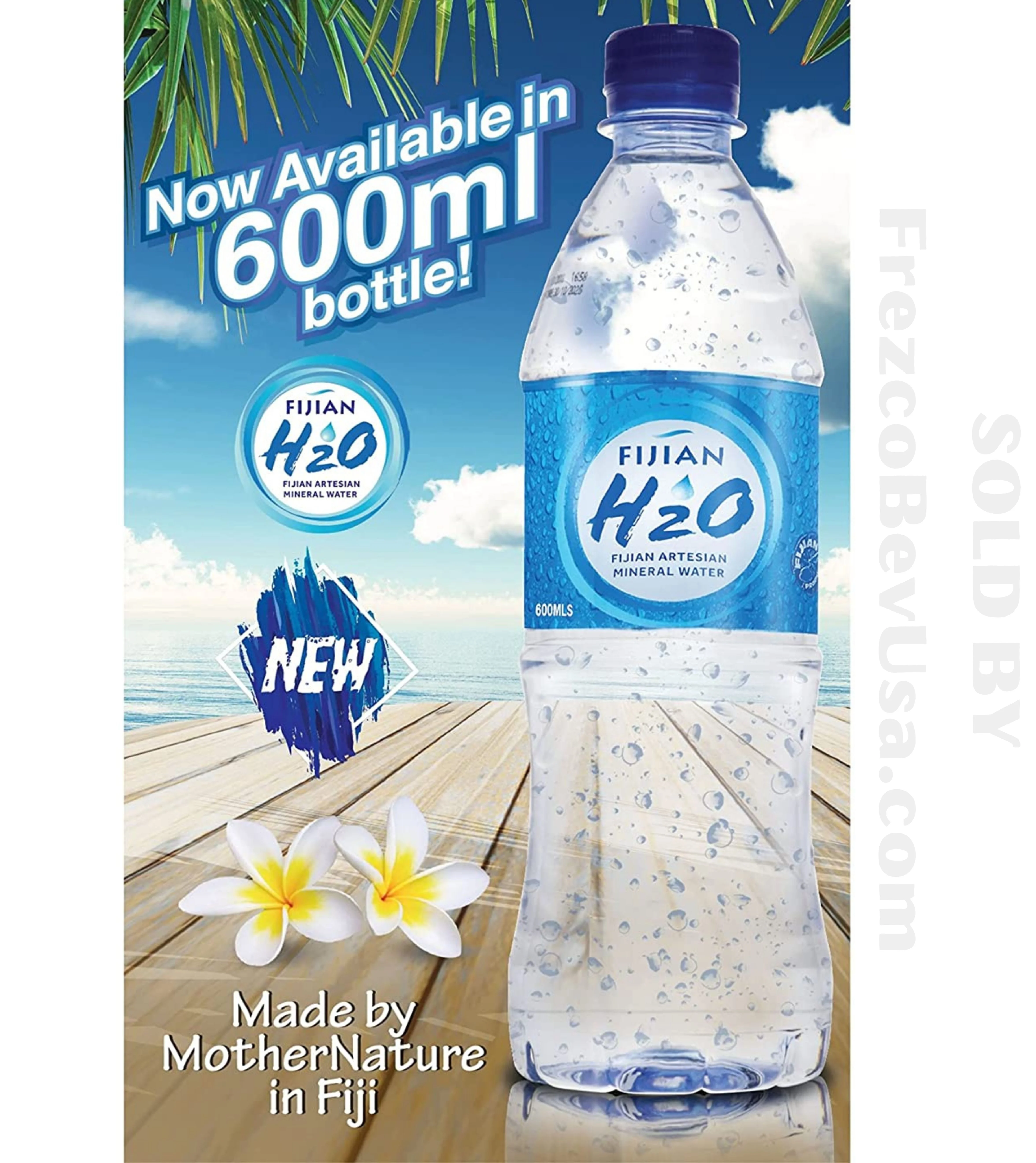 FIJIAN H20 Natural ARTESIAN Mineral Water (Case Pack Of 24 x 20.28 Oz Bottles) Discover Fiji's Finest H20, Naturally High pH & SMOOTH TASTE