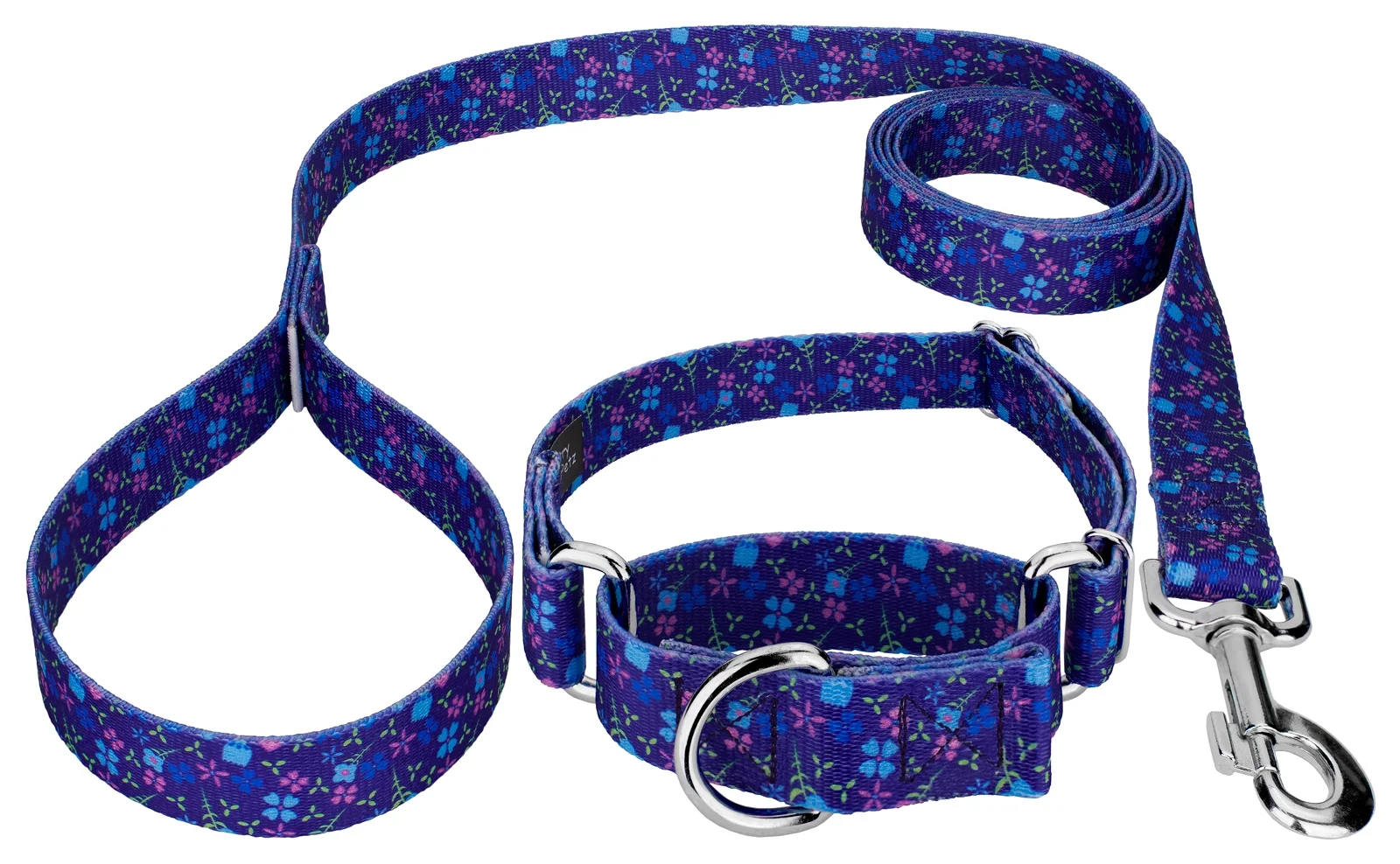 Country Brook Design® Blueberry Fields Martingale Dog Collar and Leash, Medium
