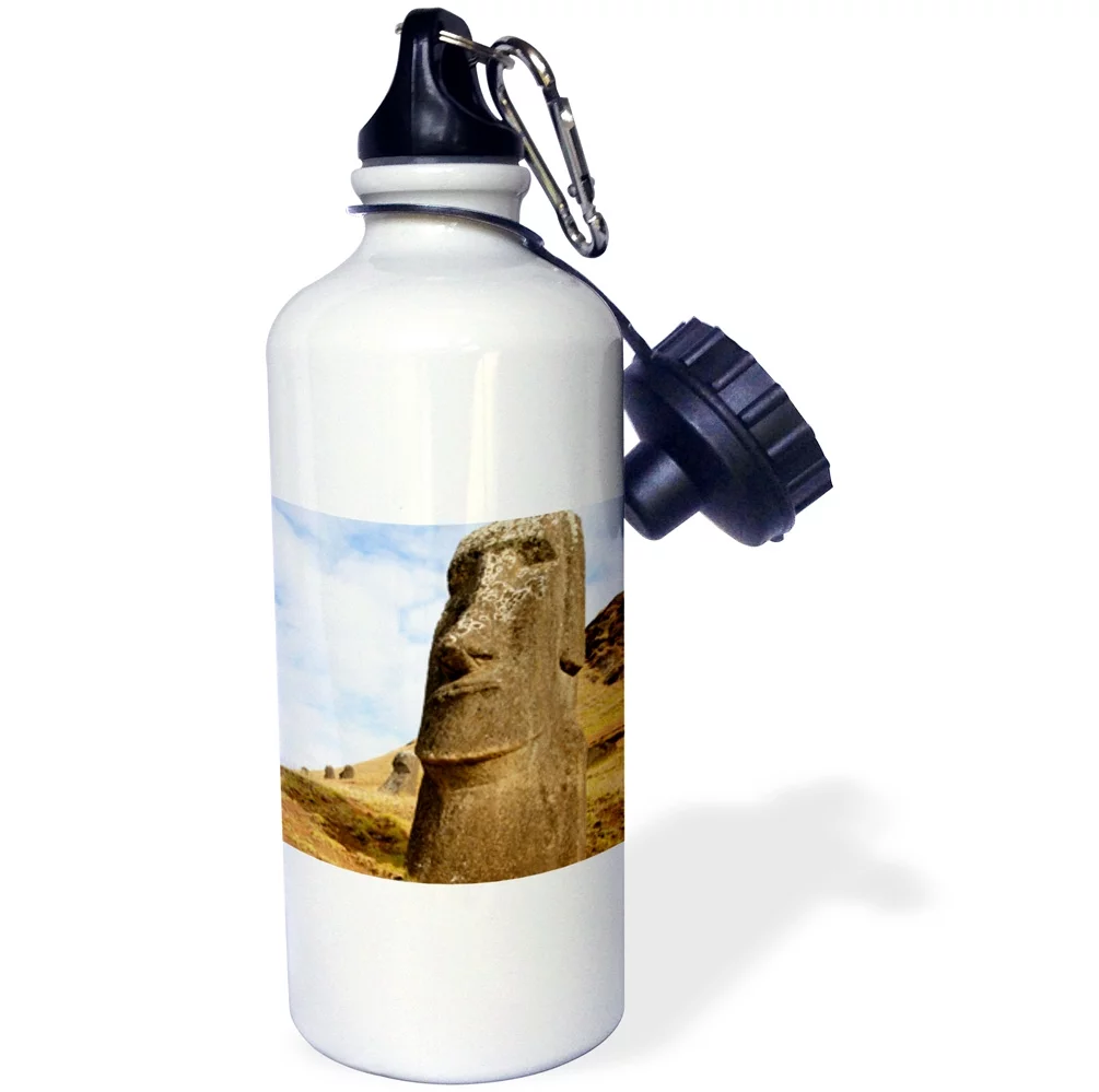 Chile, Easter Island, Rano Raraku, Quarry - SA05 CMI0024 - Cindy Miller Hopkins 21 oz Sports Water Bottle wb-85823-1